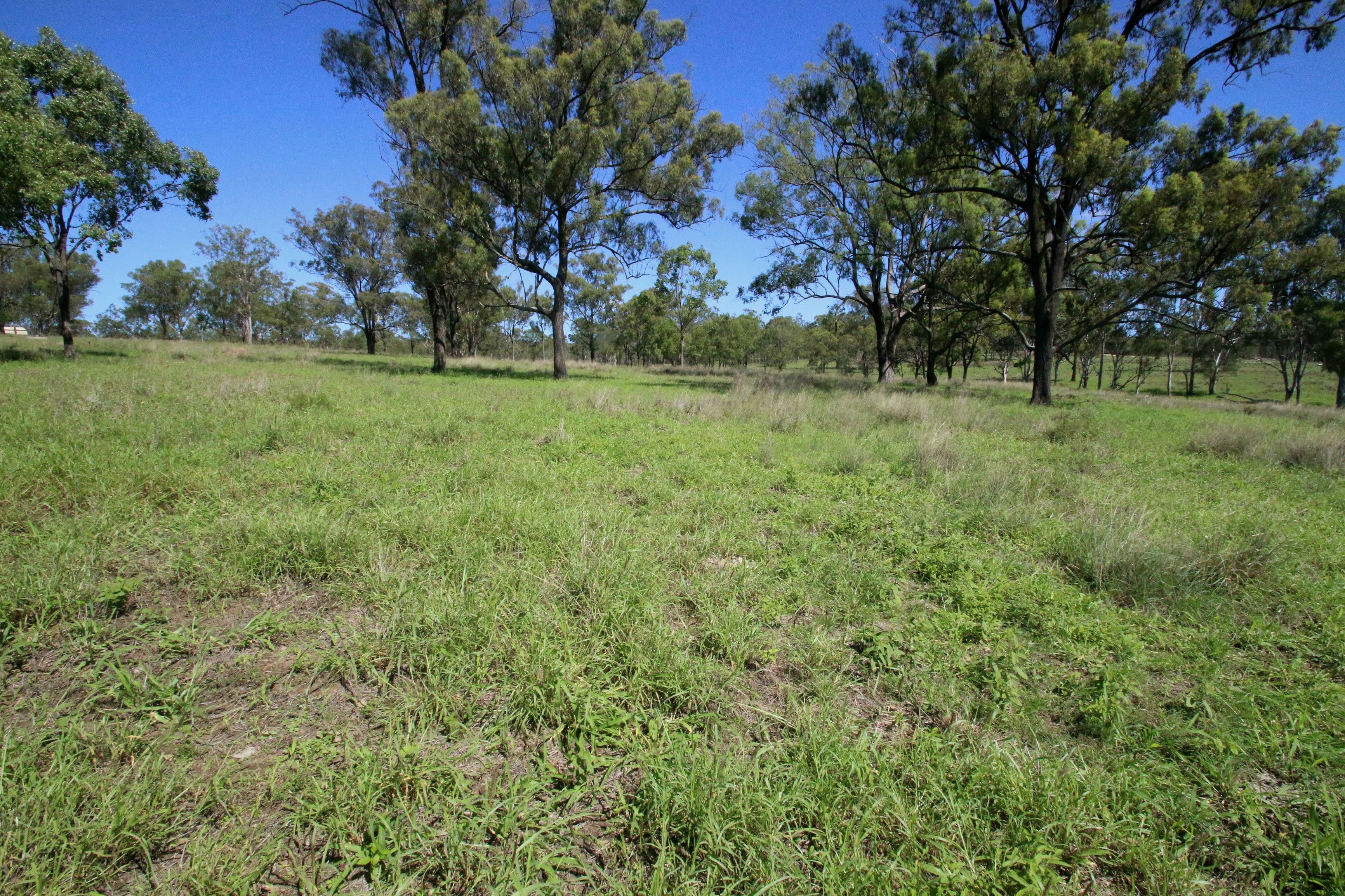 242 Golf Links Road, Monto QLD 4630, Monto - Thumbnail 8