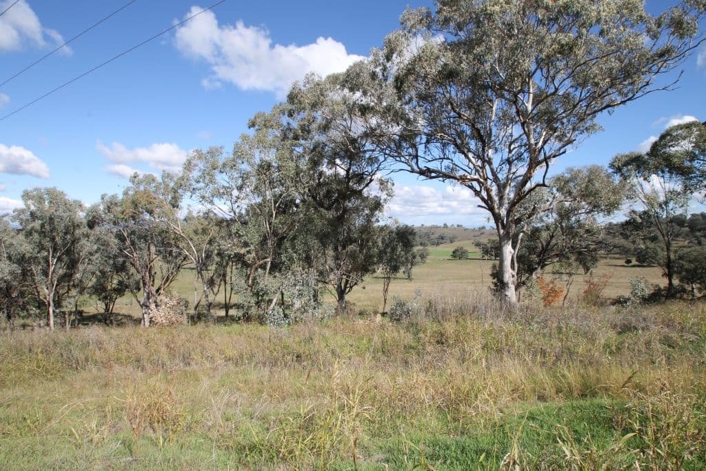 84 Nowland Avenue, Quirindi NSW 2343, Quirindi - Thumbnail 2