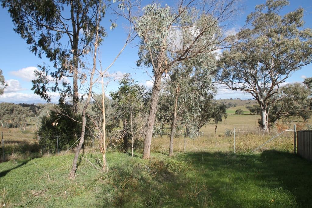 84 Nowland Avenue, Quirindi NSW 2343, Quirindi - Thumbnail 4