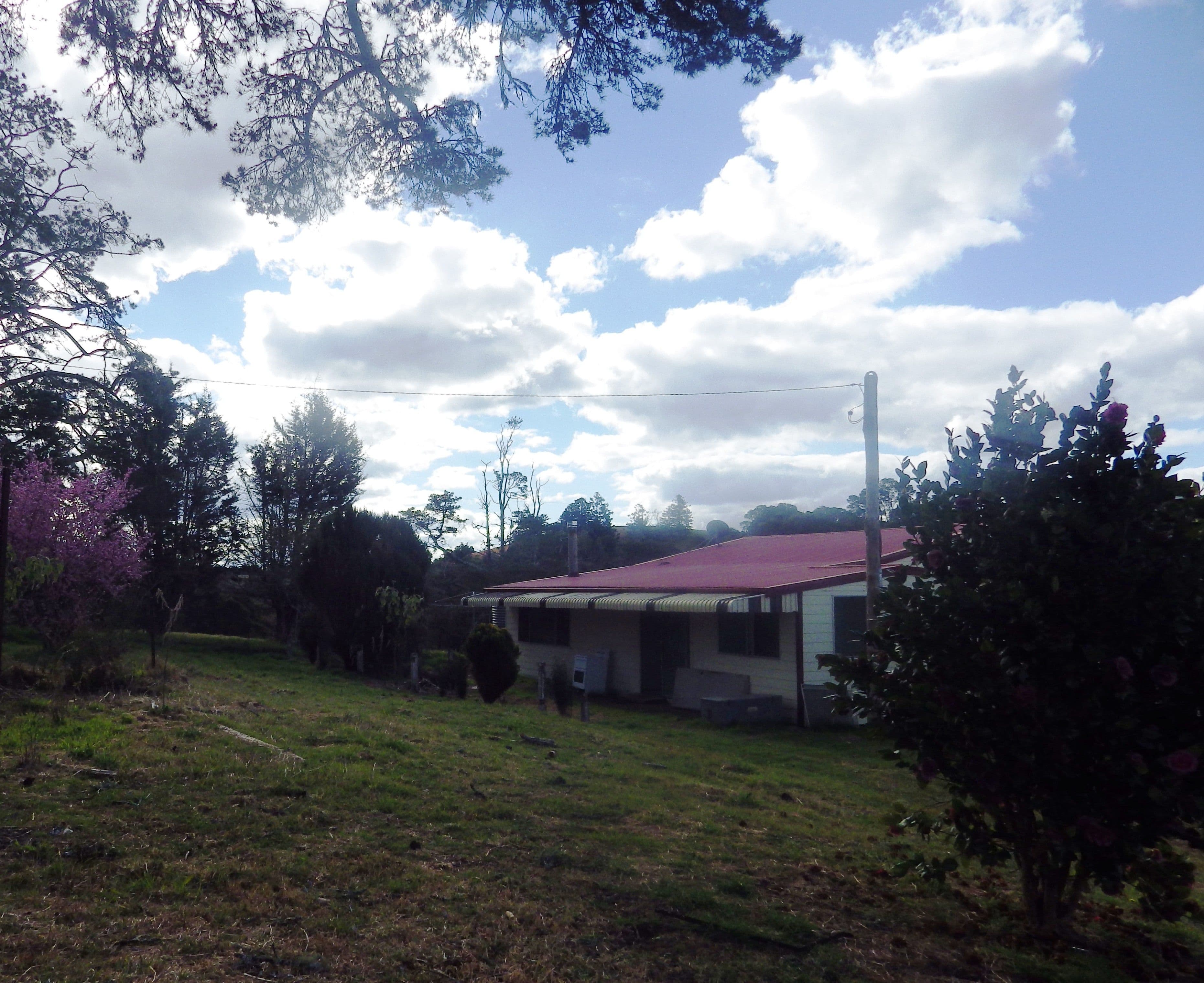 437 Slingsby's Road, Dorrigo NSW 2453, Dorrigo - Thumbnail 6
