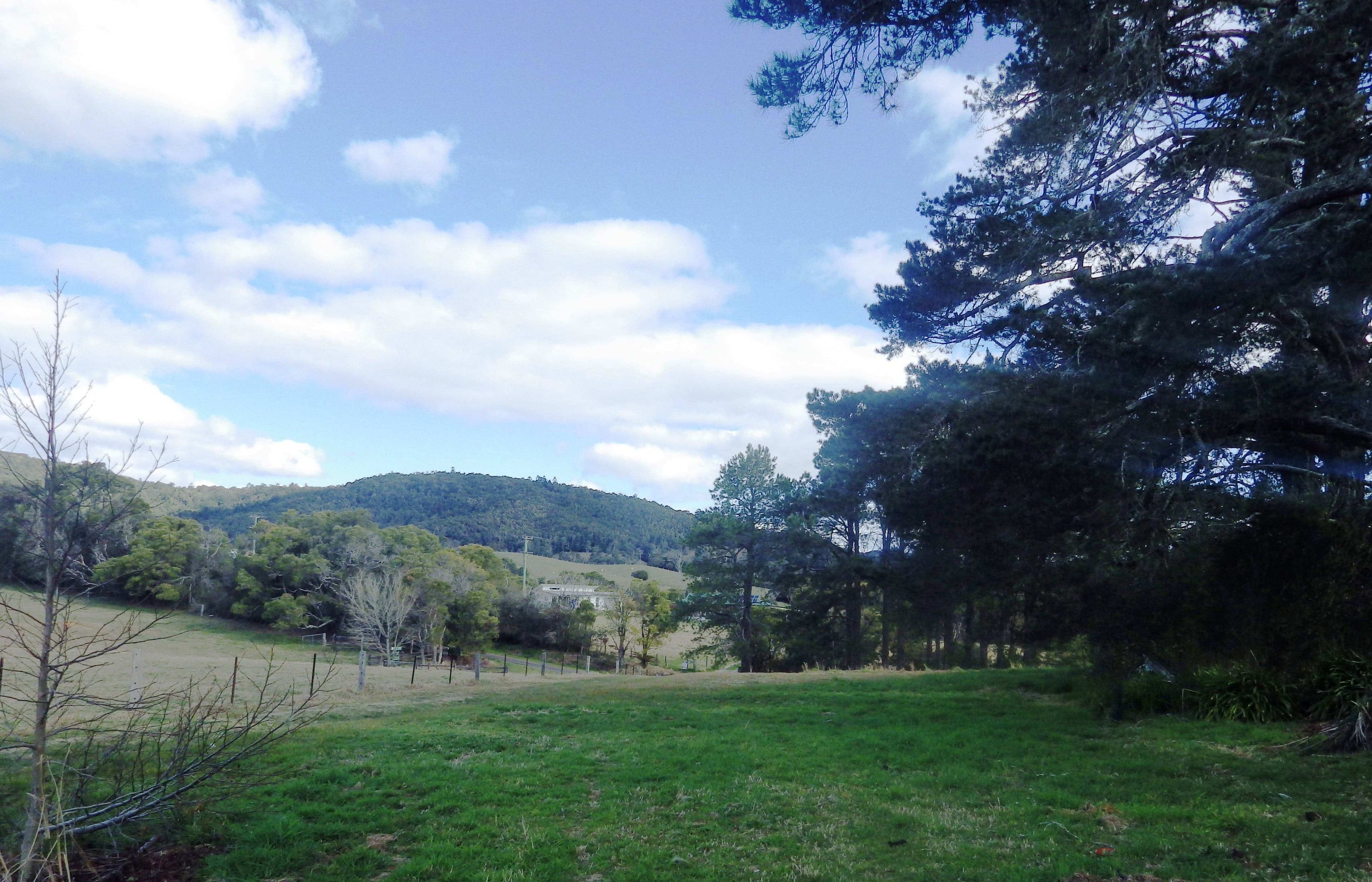 437 Slingsby's Road, Dorrigo NSW 2453, Dorrigo - Thumbnail 5