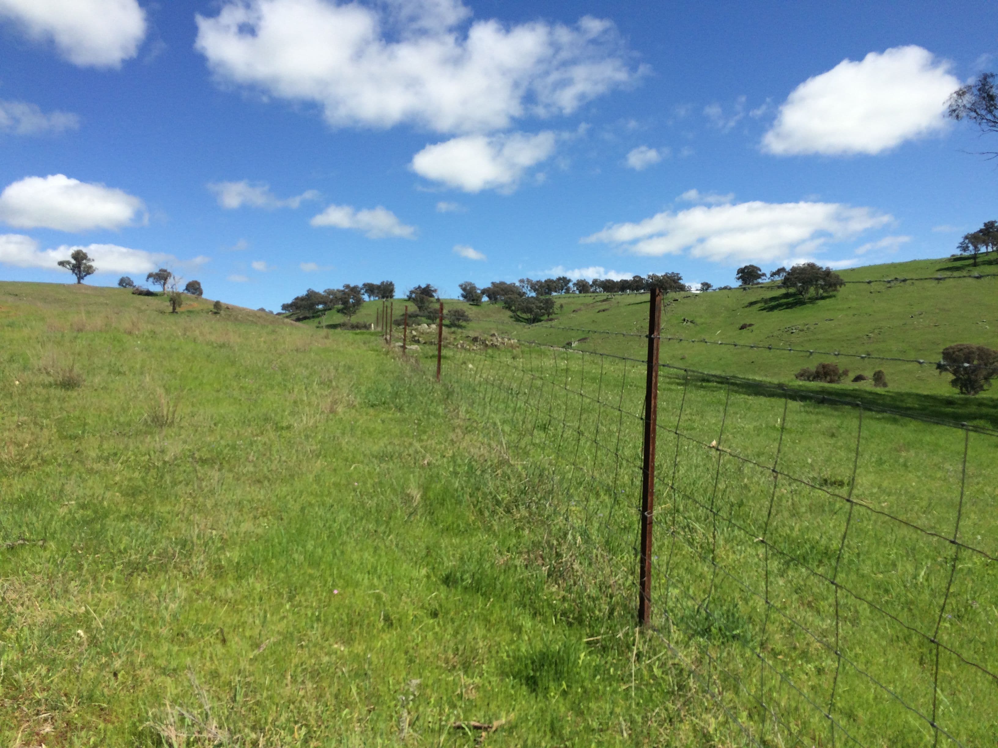 Canowindra NSW 2804, Canowindra - Thumbnail 2