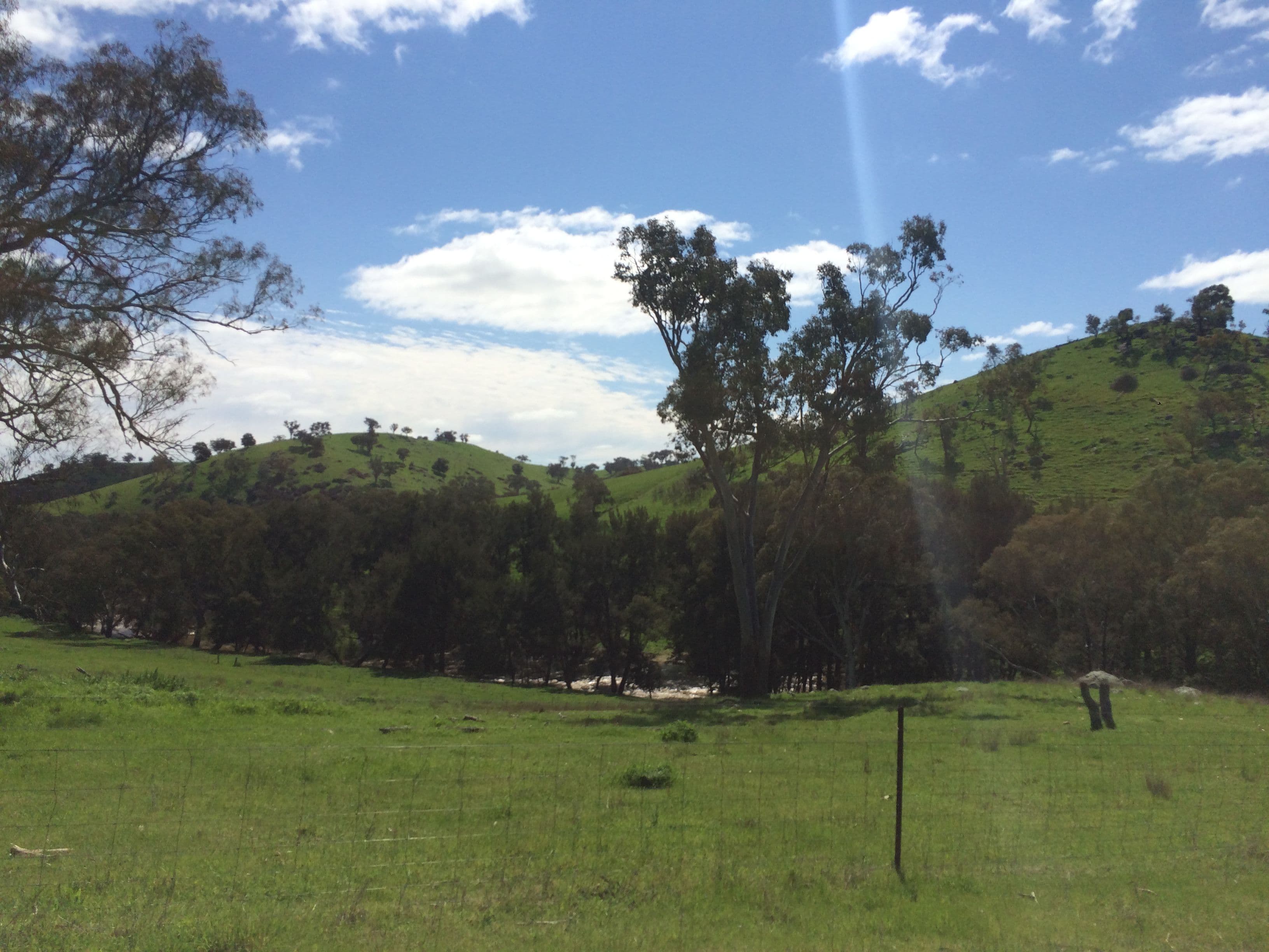 Canowindra NSW 2804, Canowindra - Thumbnail 7