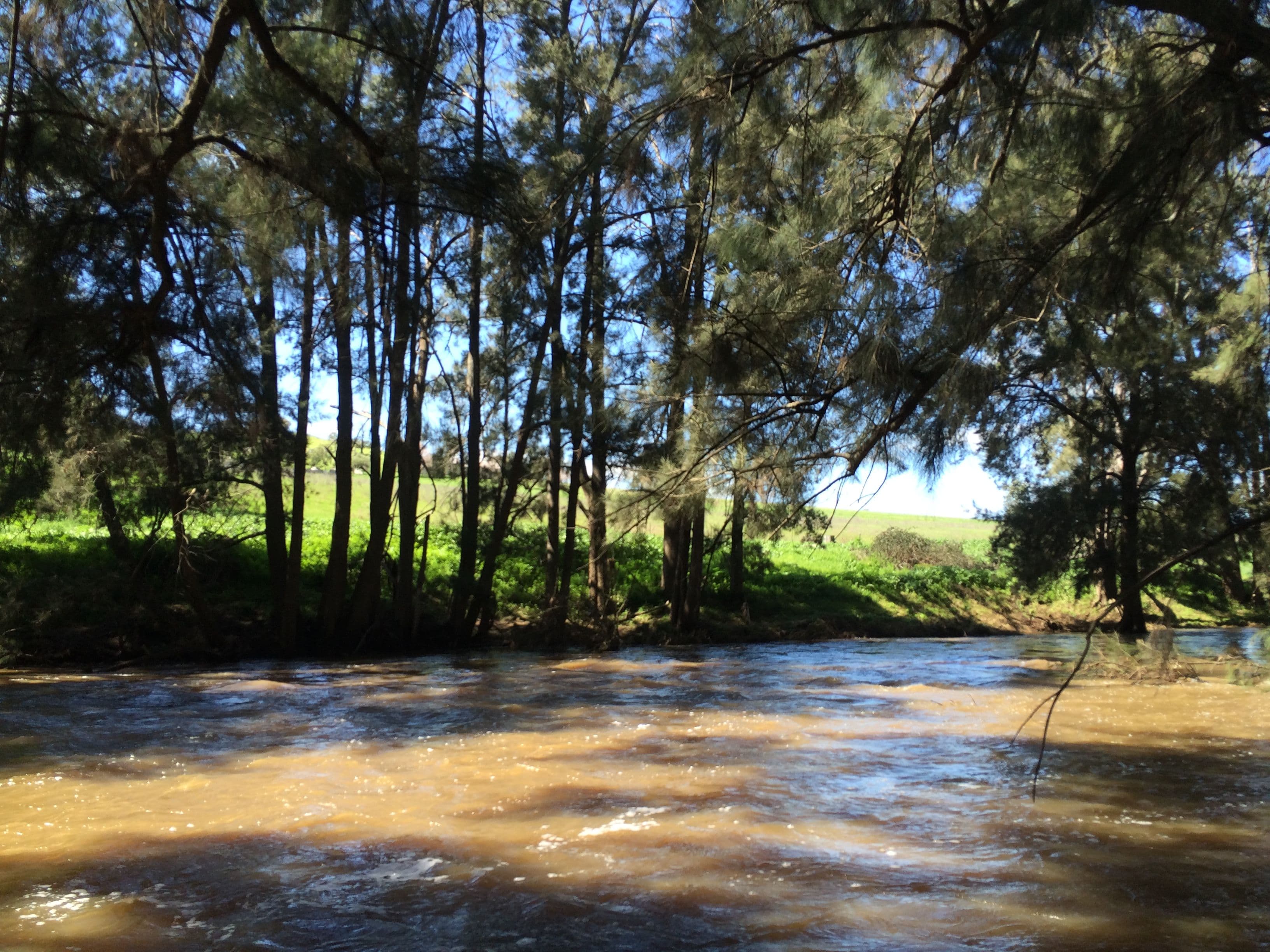Canowindra NSW 2804, Canowindra - Thumbnail 5