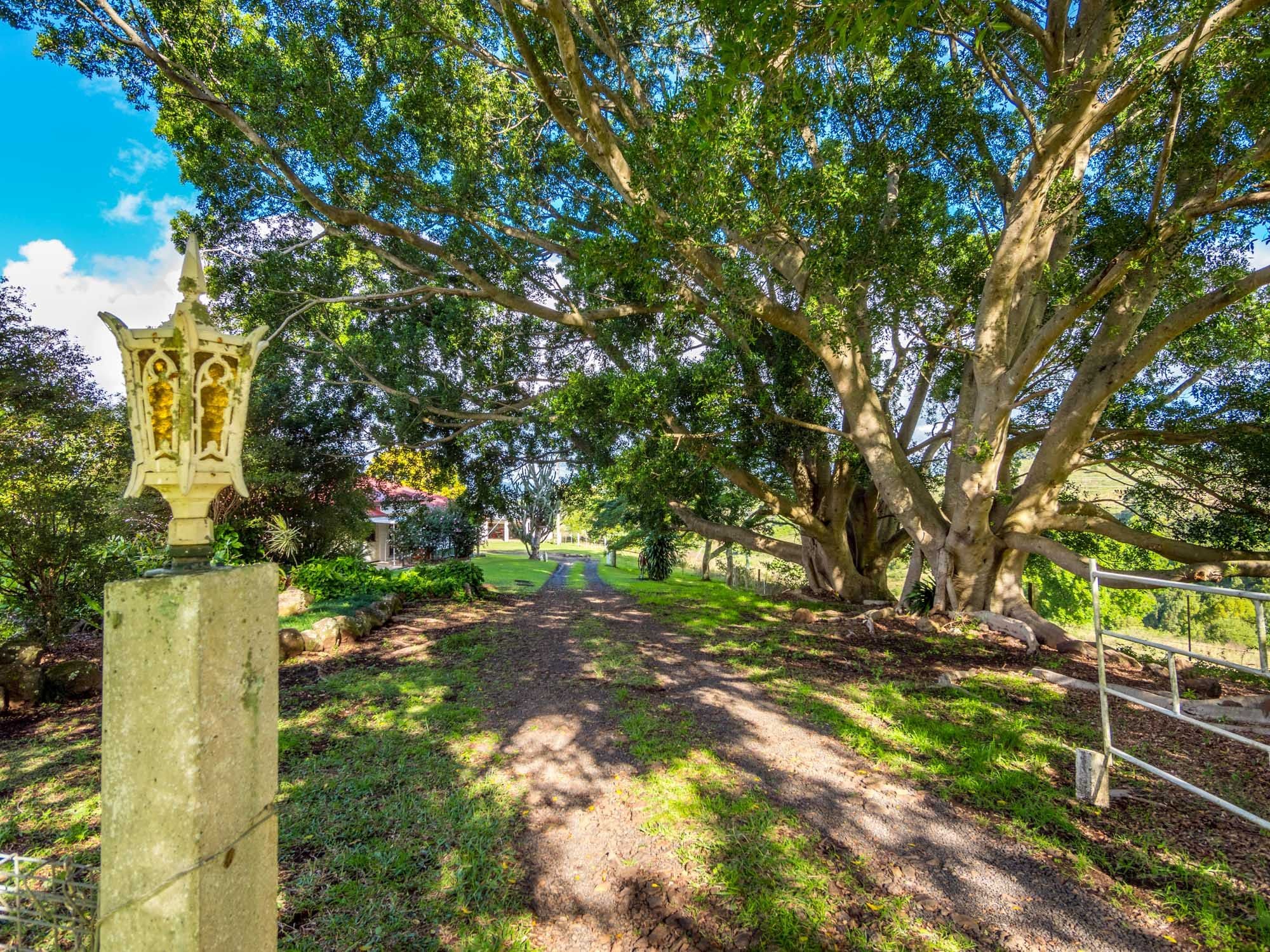 604 Dunoon Road, Tullera NSW 2480, Tullera - Thumbnail 2
