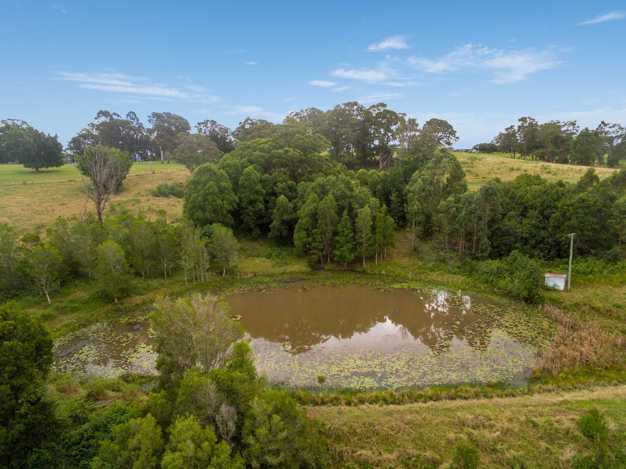 604 Dunoon Road, Tullera NSW 2480, Tullera - Thumbnail 5