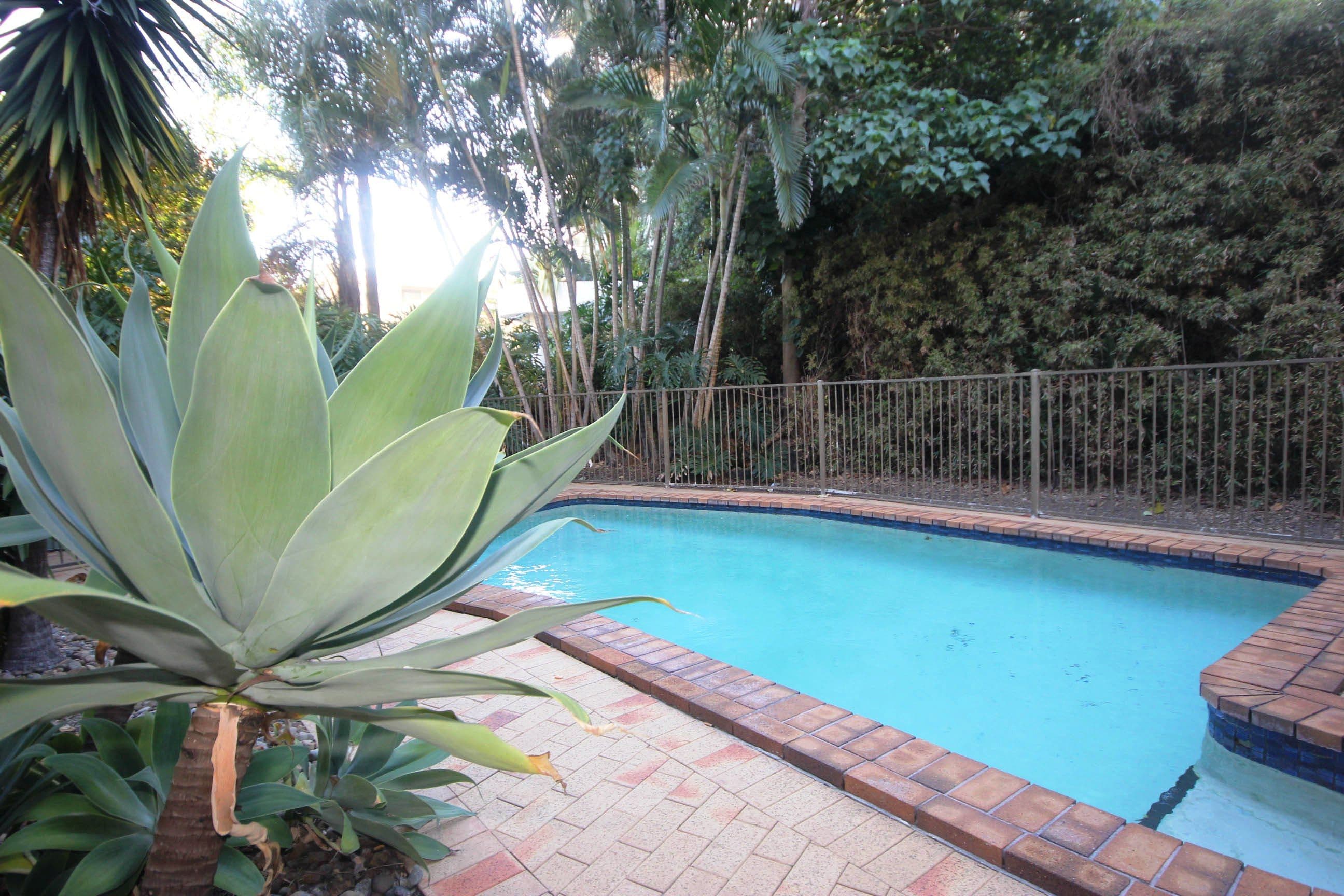 17 Frederick Street, Surfers Paradise QLD 4217, Surfers Paradise - Thumbnail 2