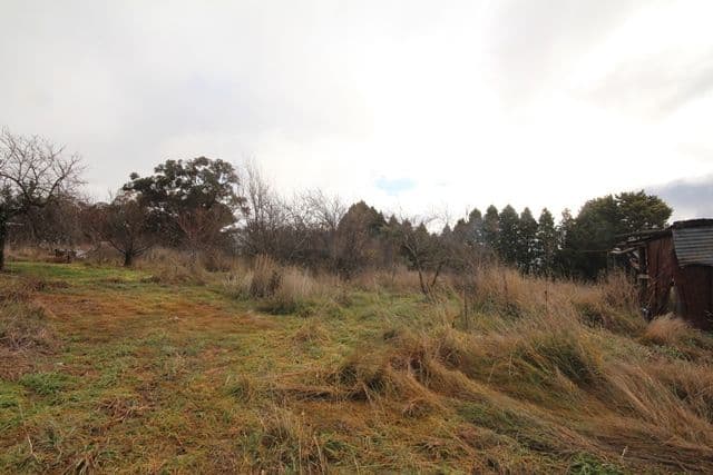 44-48 Edgar Hanrahan Drive, Burraga NSW 2795, Burraga - Thumbnail 3