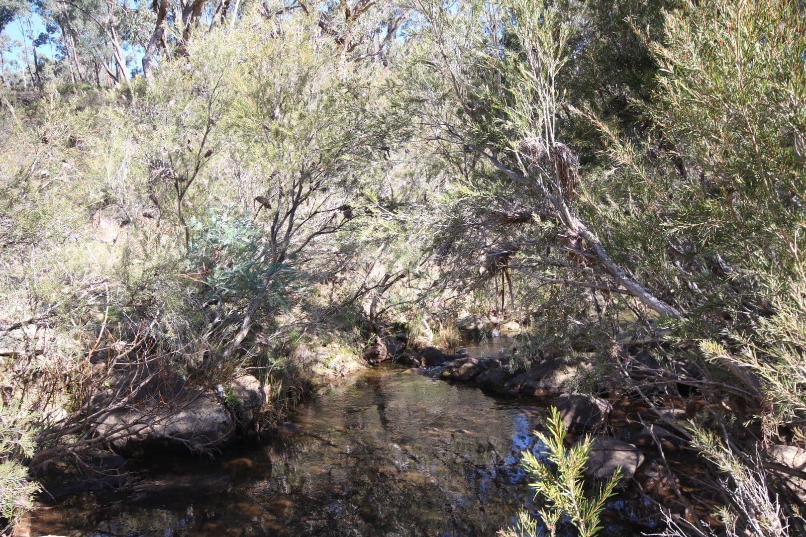 2902 Beaconsfield Road, Wisemans Creek NSW 2795, Wisemans Creek - Thumbnail 4