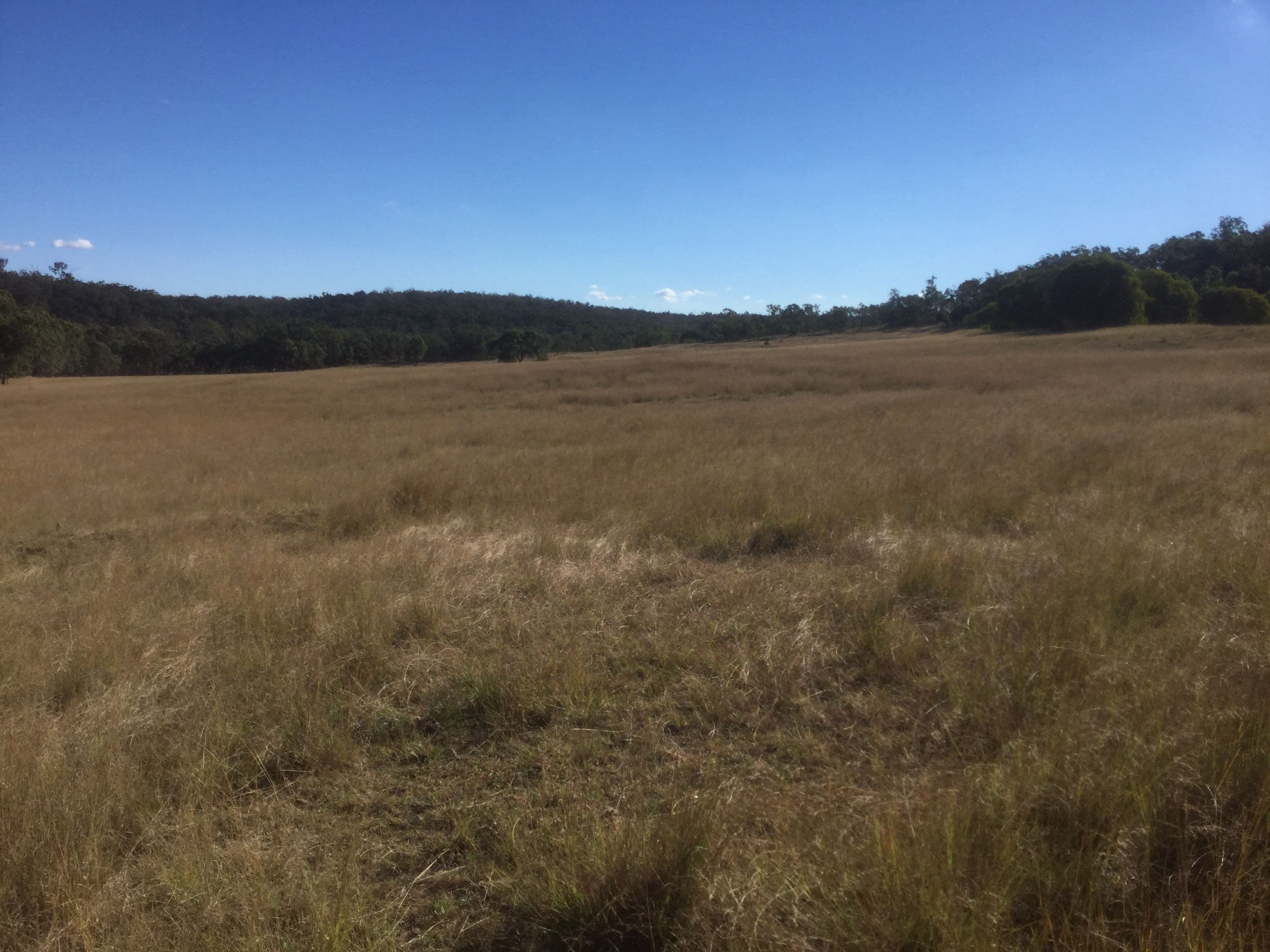 740 Mannuem Road, Mannuem QLD 4610, Mannuem - Thumbnail 8