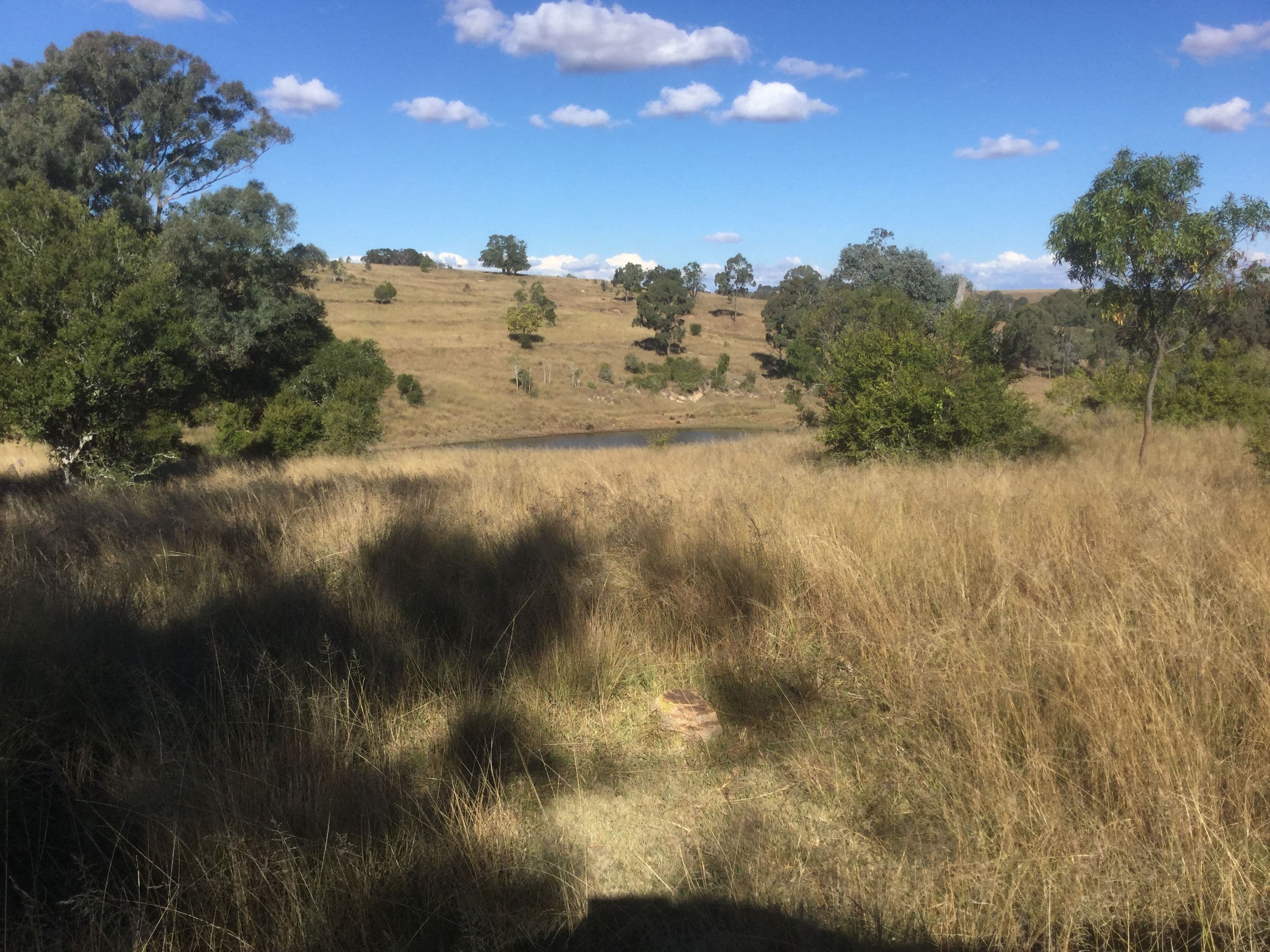 740 Mannuem Road, Mannuem QLD 4610, Mannuem - Thumbnail 6