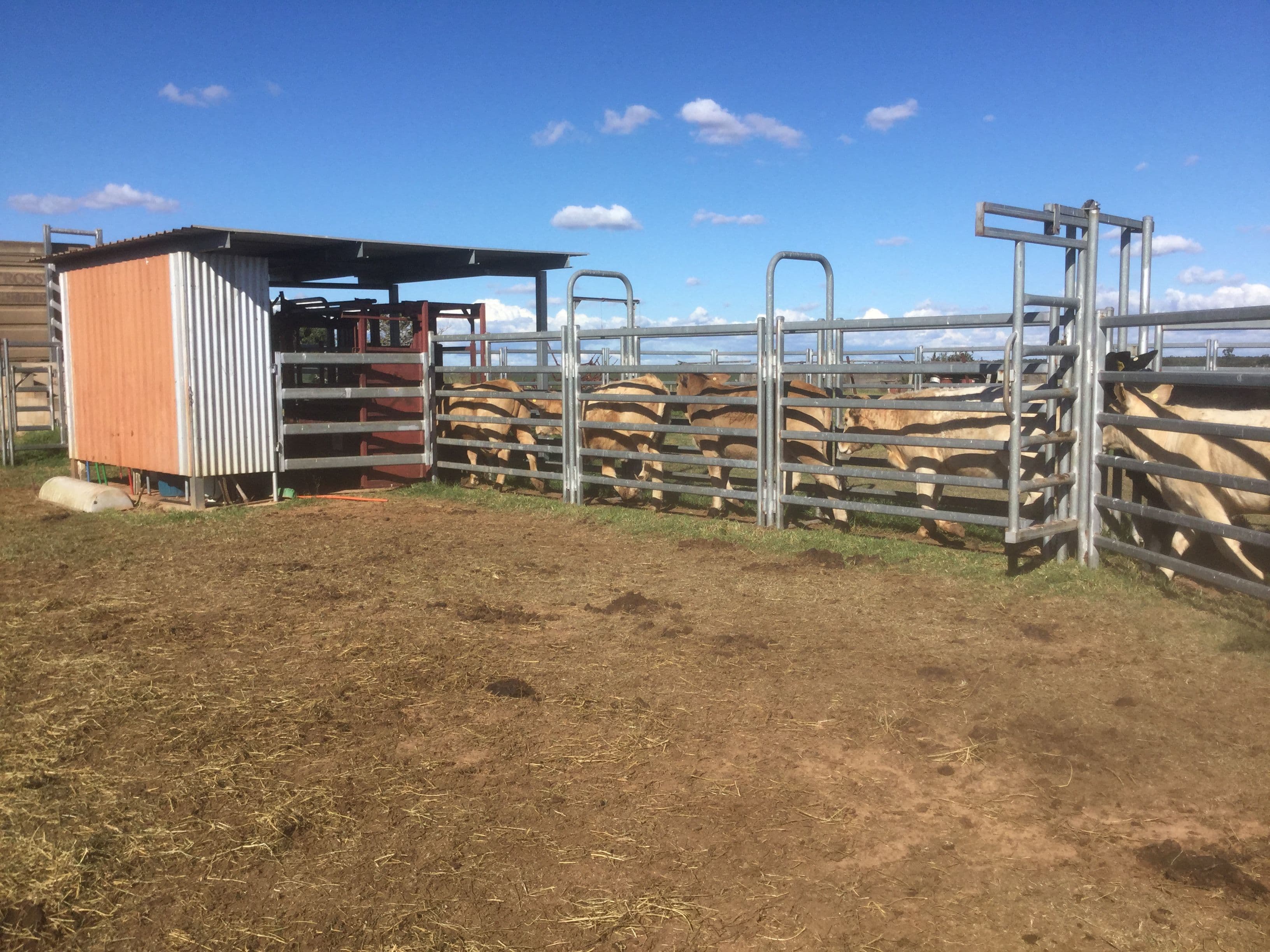 740 Mannuem Road, Mannuem QLD 4610, Mannuem - Thumbnail 4