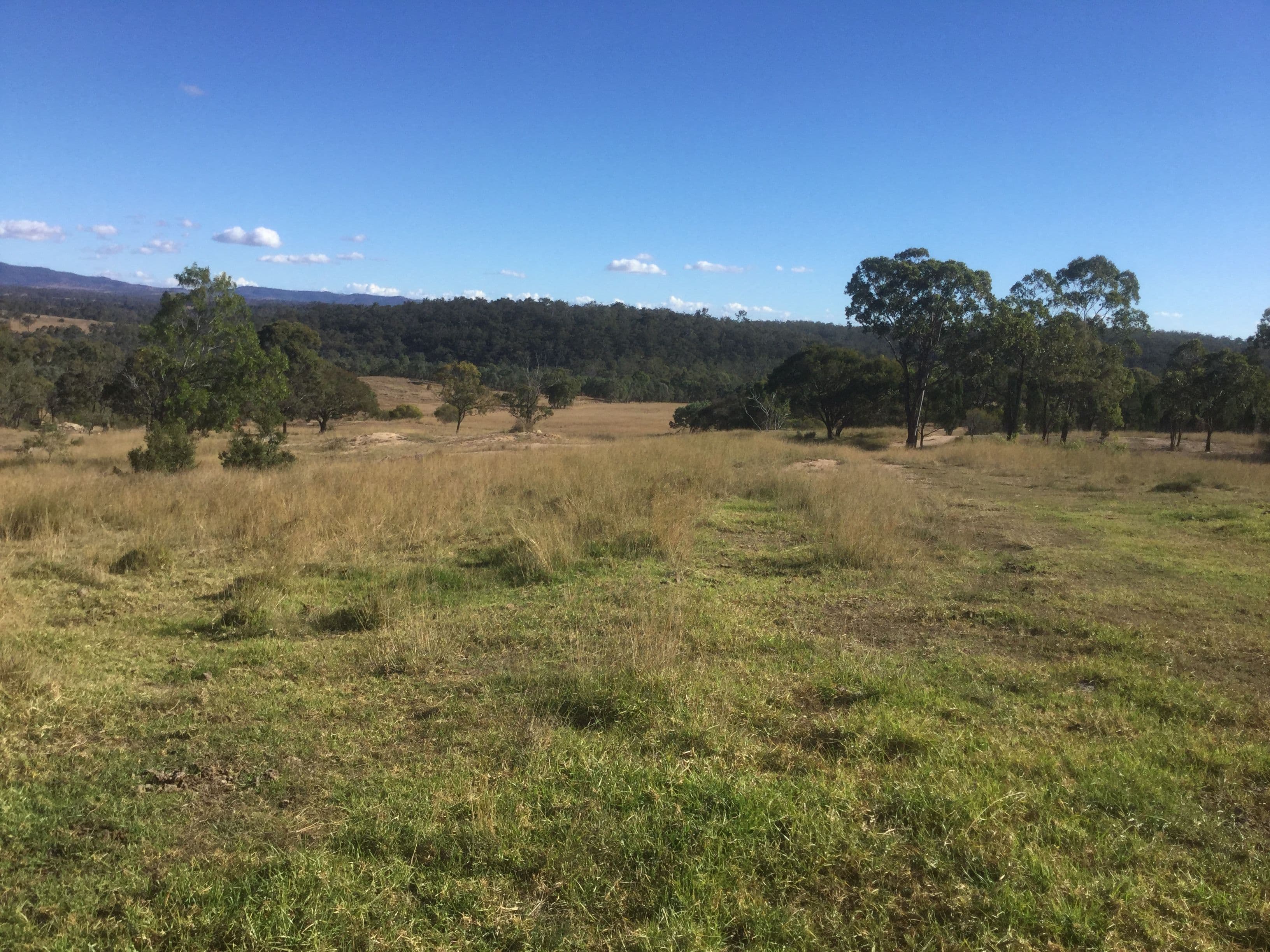 740 Mannuem Road, Mannuem QLD 4610, Mannuem - Thumbnail 7