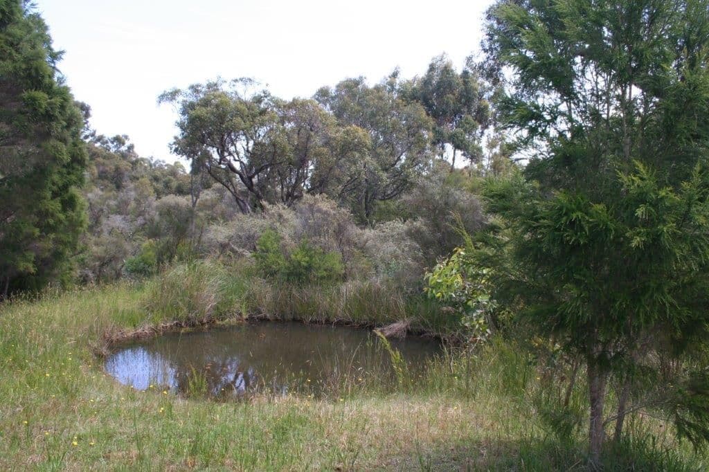 Lot 10 Point Hilliar Vista, Denmark WA 6333, Denmark - Thumbnail 8