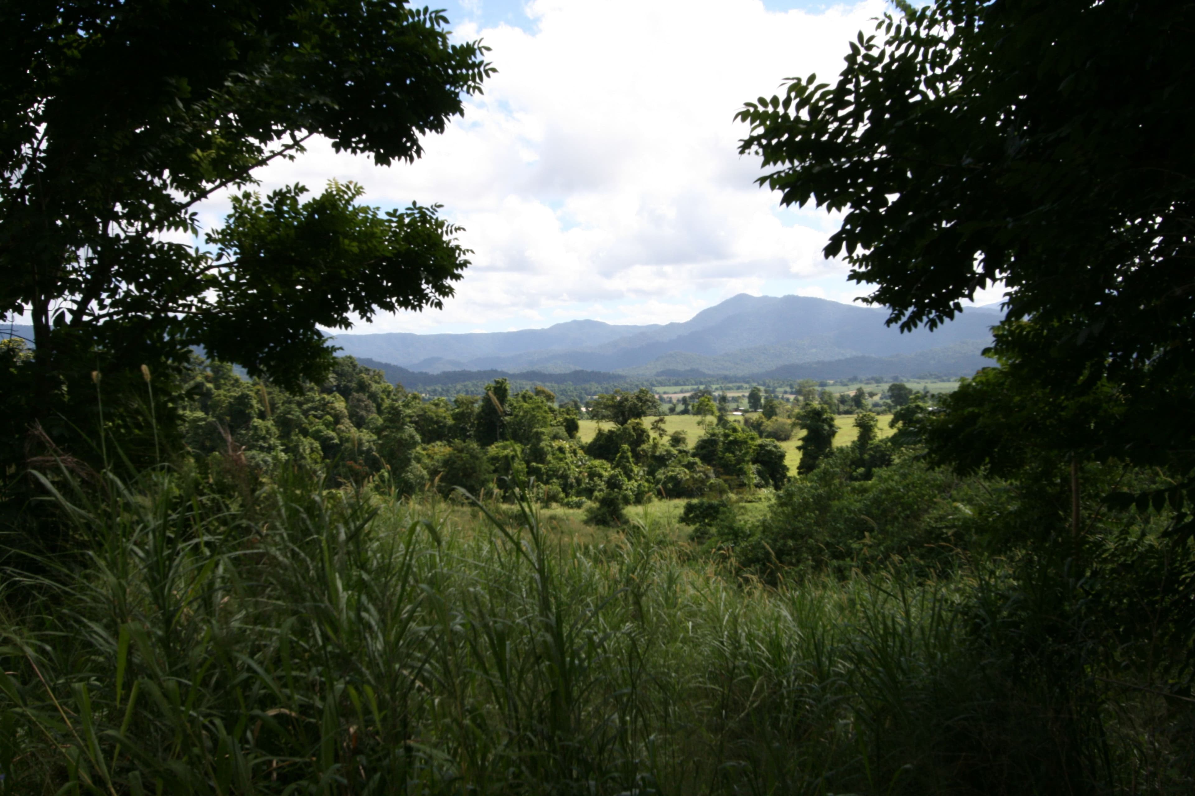 239 Dunne Road, East Palmerston QLD 4860, East Palmerston - Thumbnail 2