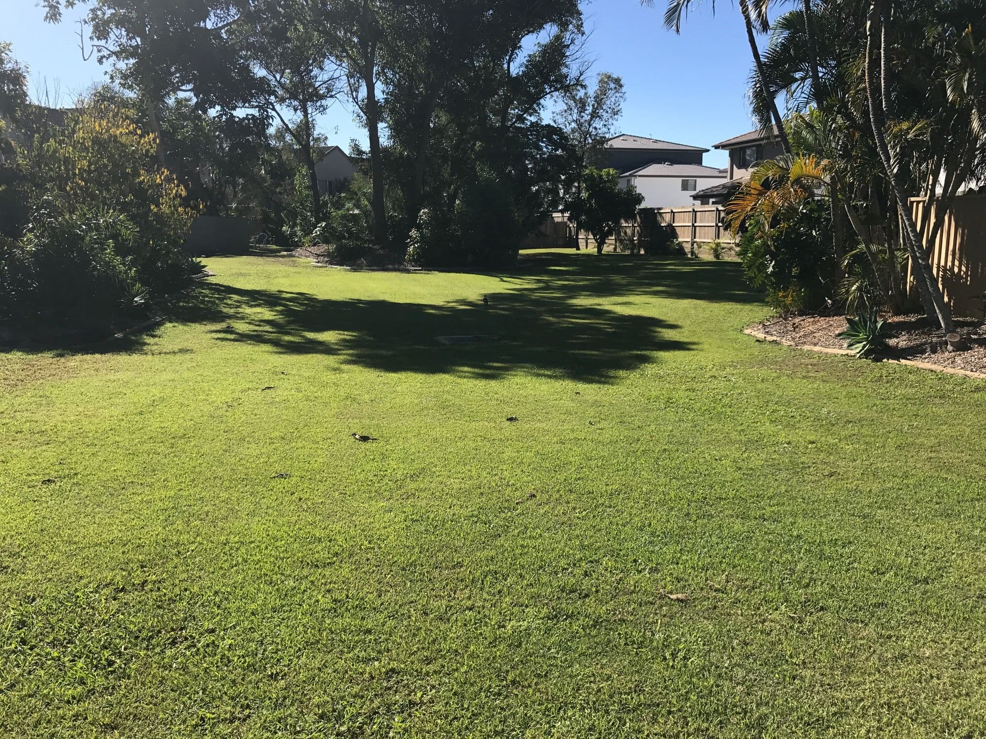 26 Fortune Street, Coomera QLD 4209, Coomera - Thumbnail 4