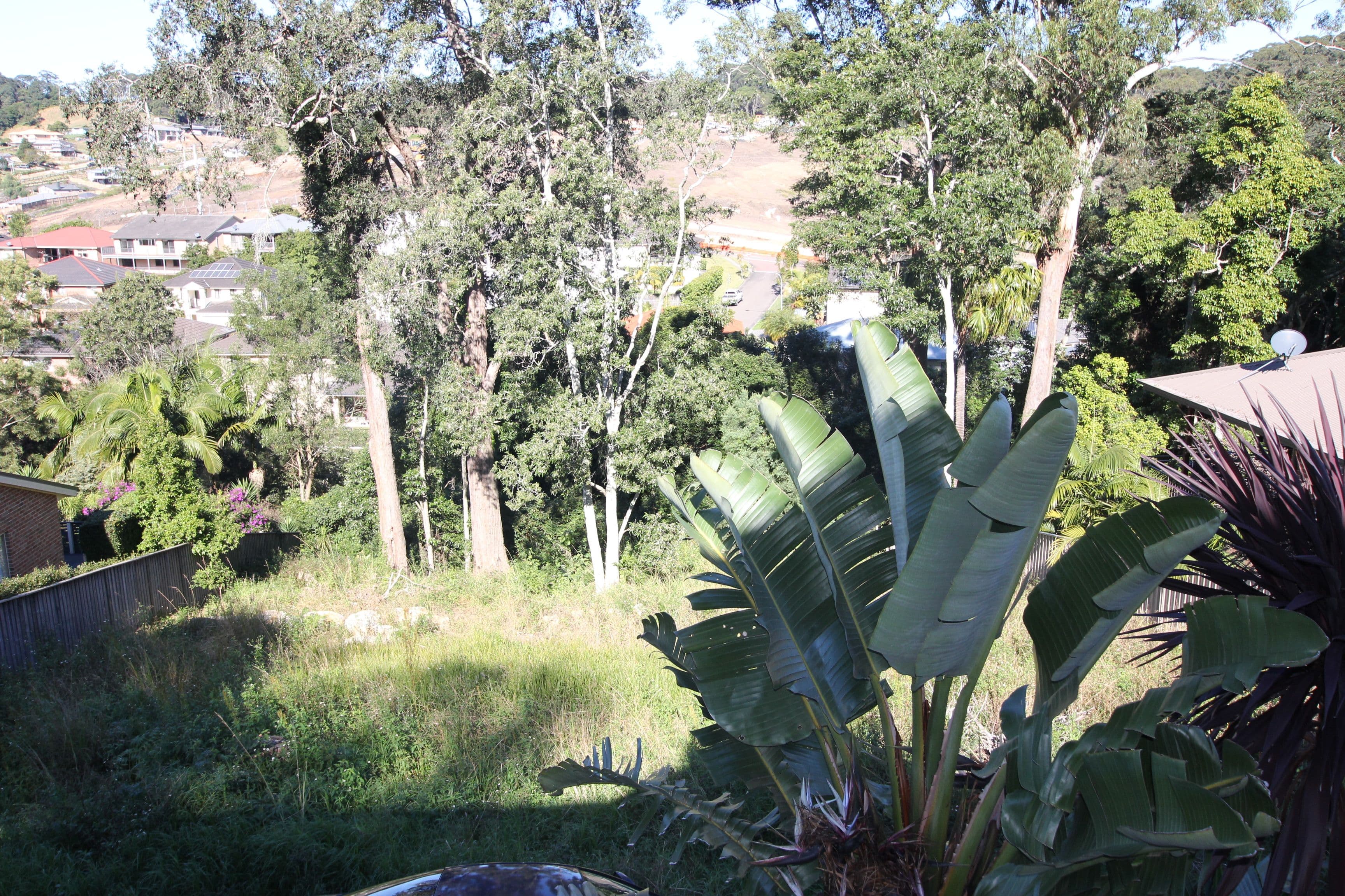 51 Sheffield Drive, Terrigal NSW 2260, Terrigal - Thumbnail 3