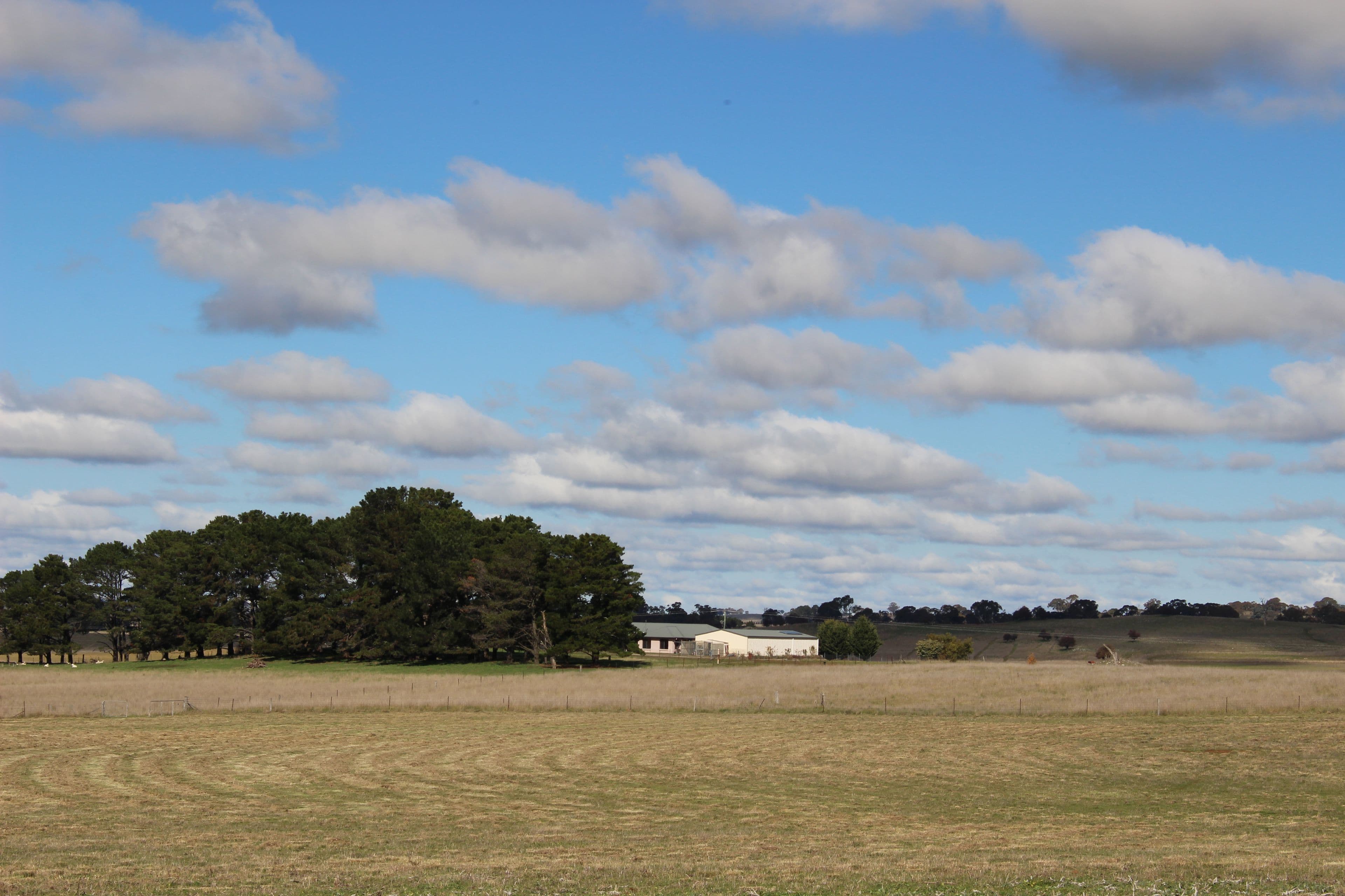 Millthorpe NSW 2798, Millthorpe - Thumbnail 2