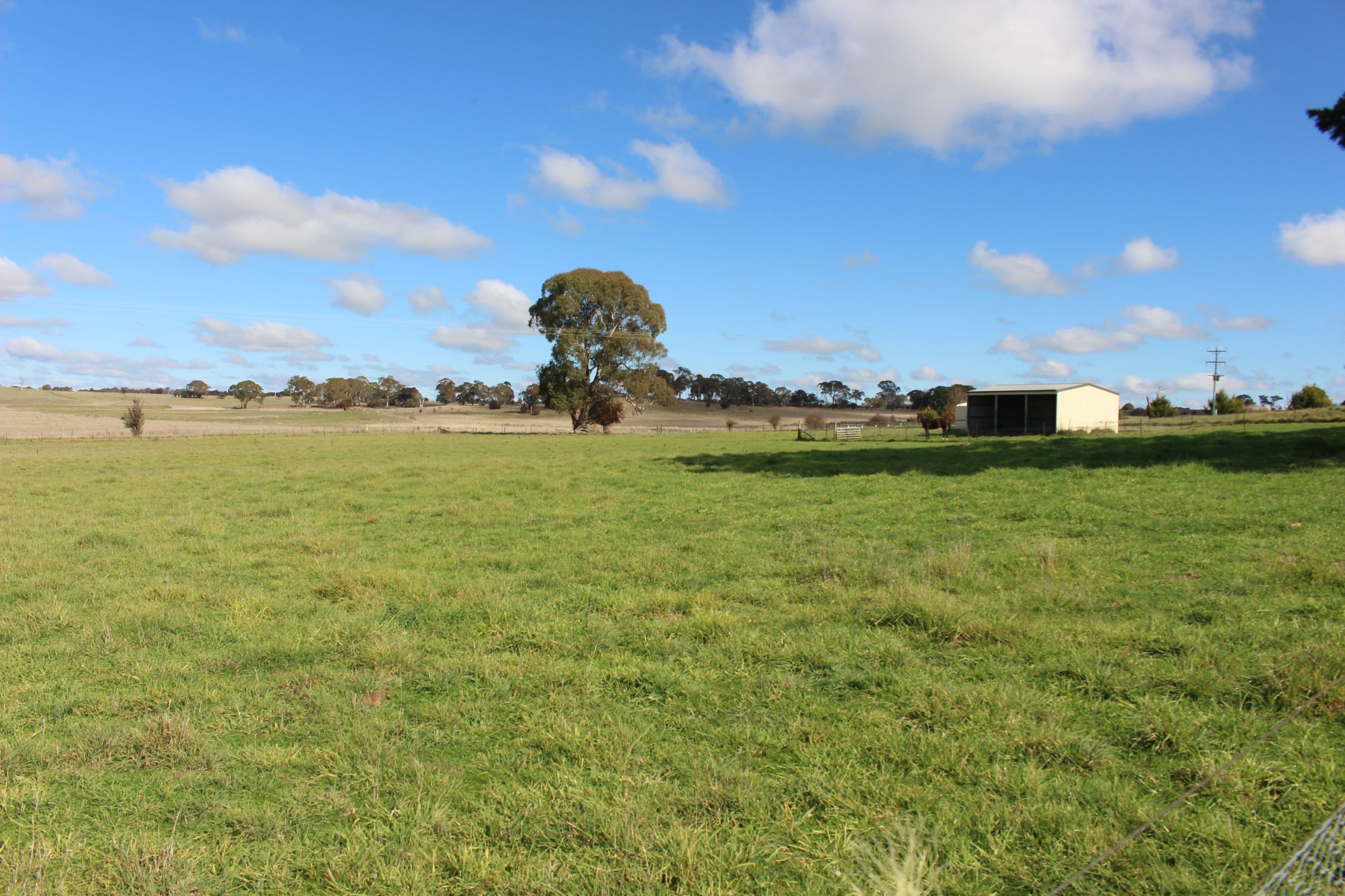 Millthorpe NSW 2798, Millthorpe - Thumbnail 3