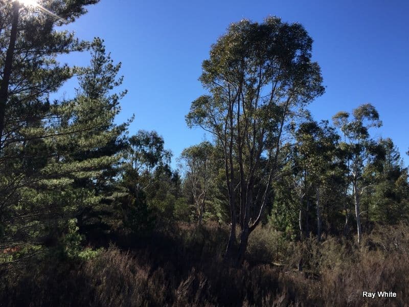 8 Tally Ho Road, Bombay NSW 2622, Bombay - Thumbnail 6
