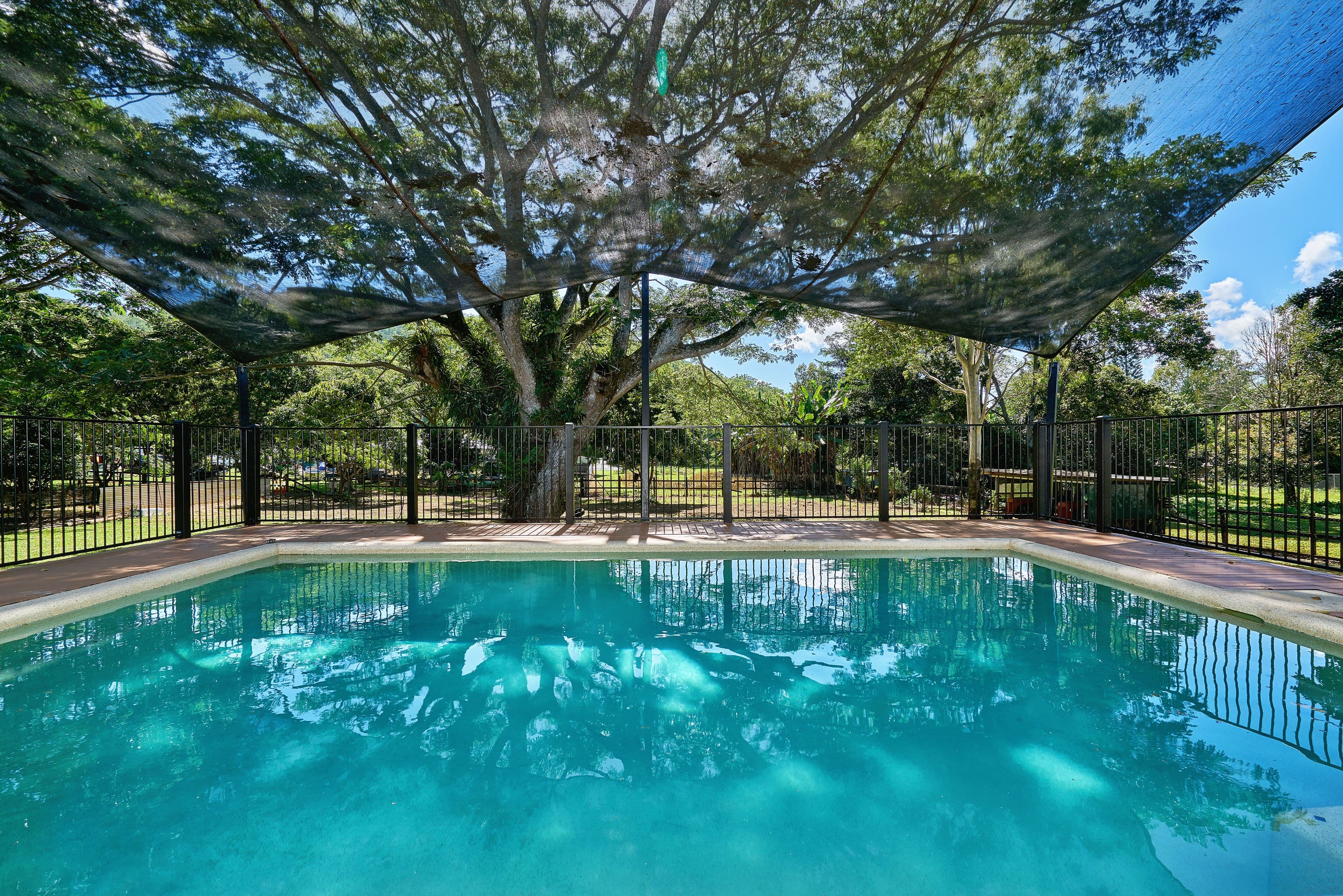 20 Vico Street, Gordonvale QLD 4865, Gordonvale - Thumbnail 2