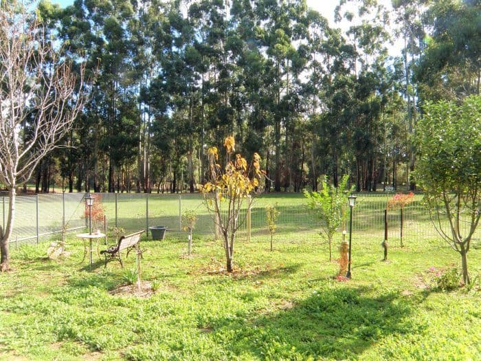 Lot 3 King Road, NANNUP WA 6275, Nannup - Thumbnail 6