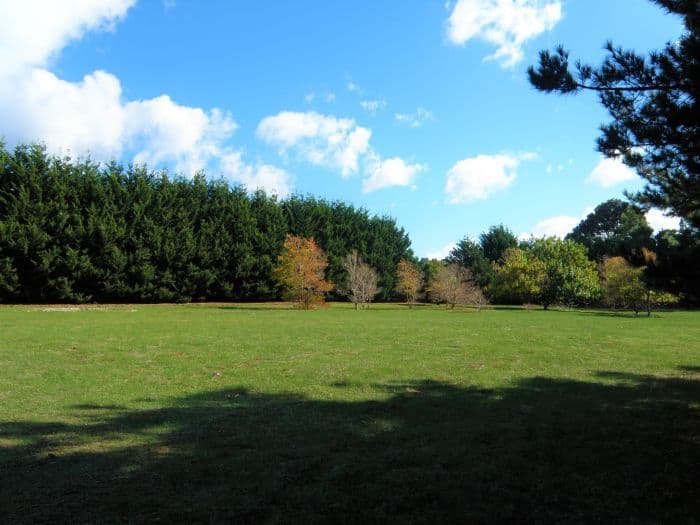 Lot 3 King Road, NANNUP WA 6275, Nannup - Thumbnail 2