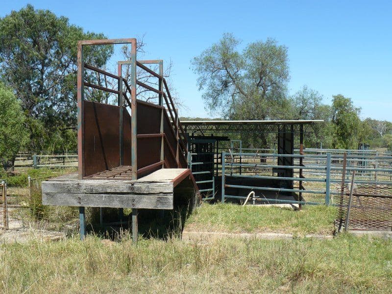 '' Mindah, Warialda NSW 2402, Warialda - Thumbnail 7