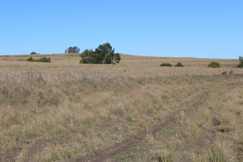 '' Mindah, Warialda NSW 2402, Warialda - Thumbnail 2