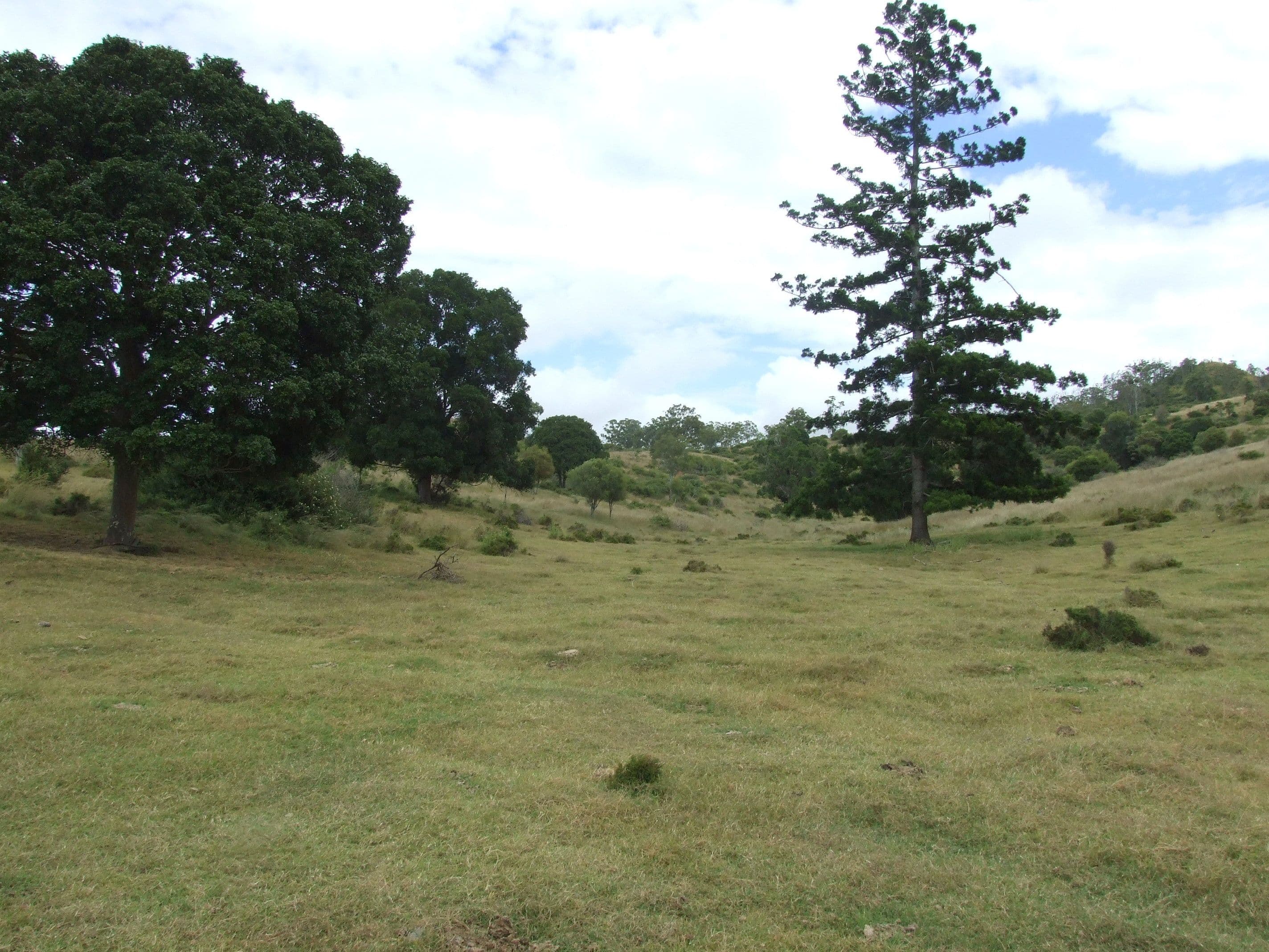 L213 Dukes Road, Cooyar QLD 4402, Cooyar - Image 1