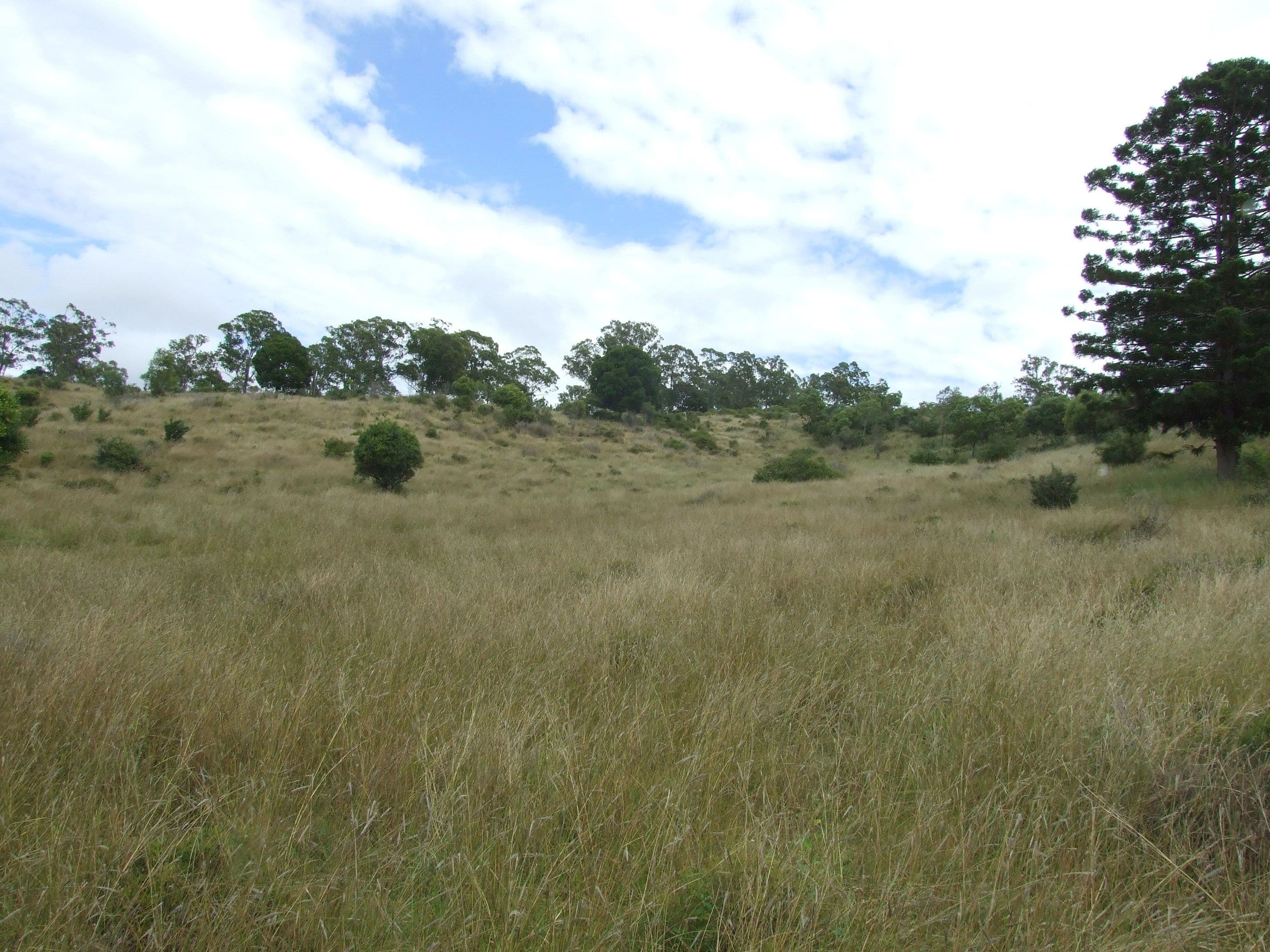 L213 Dukes Road, Cooyar QLD 4402, Cooyar - Thumbnail 7