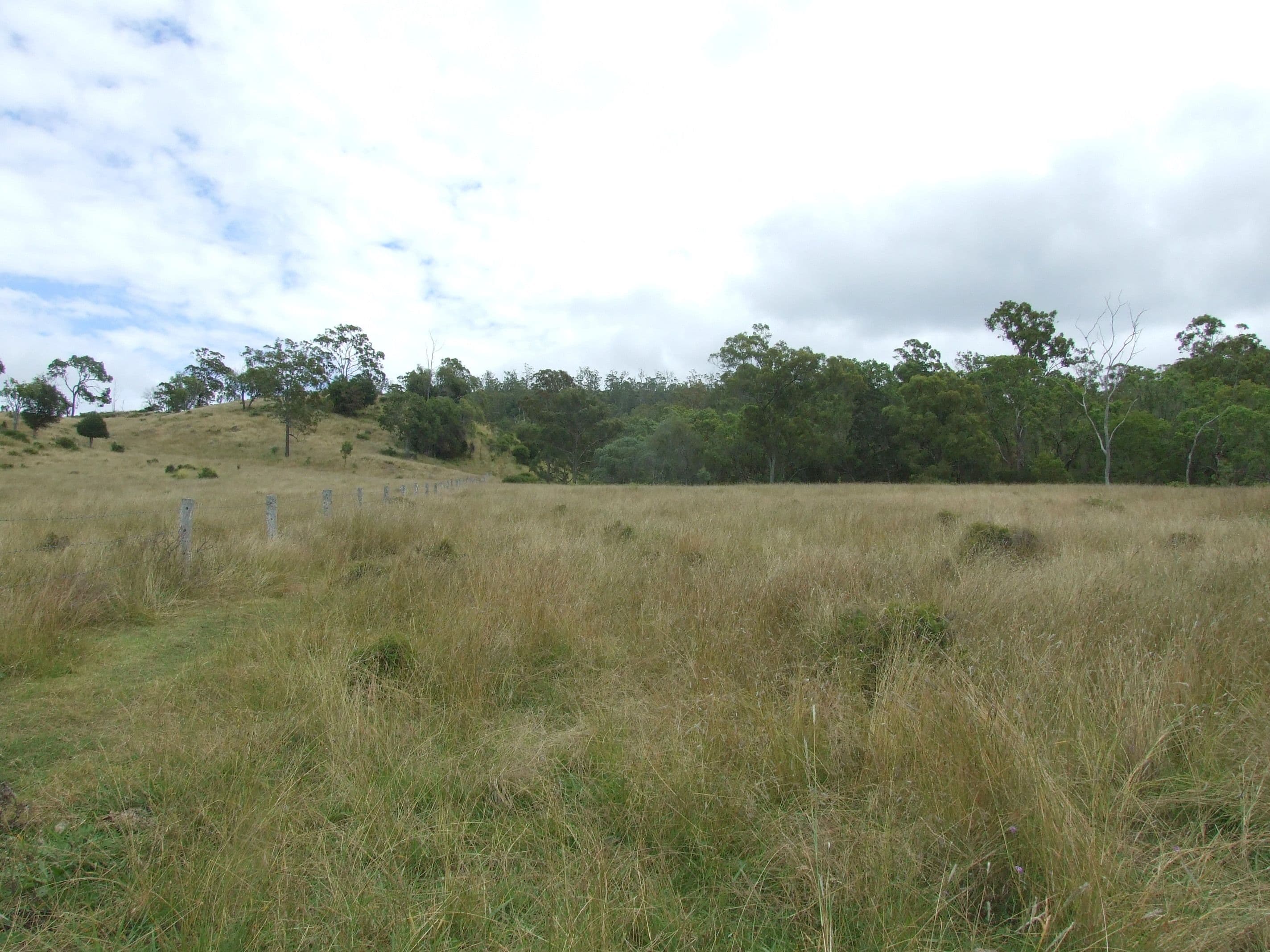 L213 Dukes Road, Cooyar QLD 4402, Cooyar - Thumbnail 8