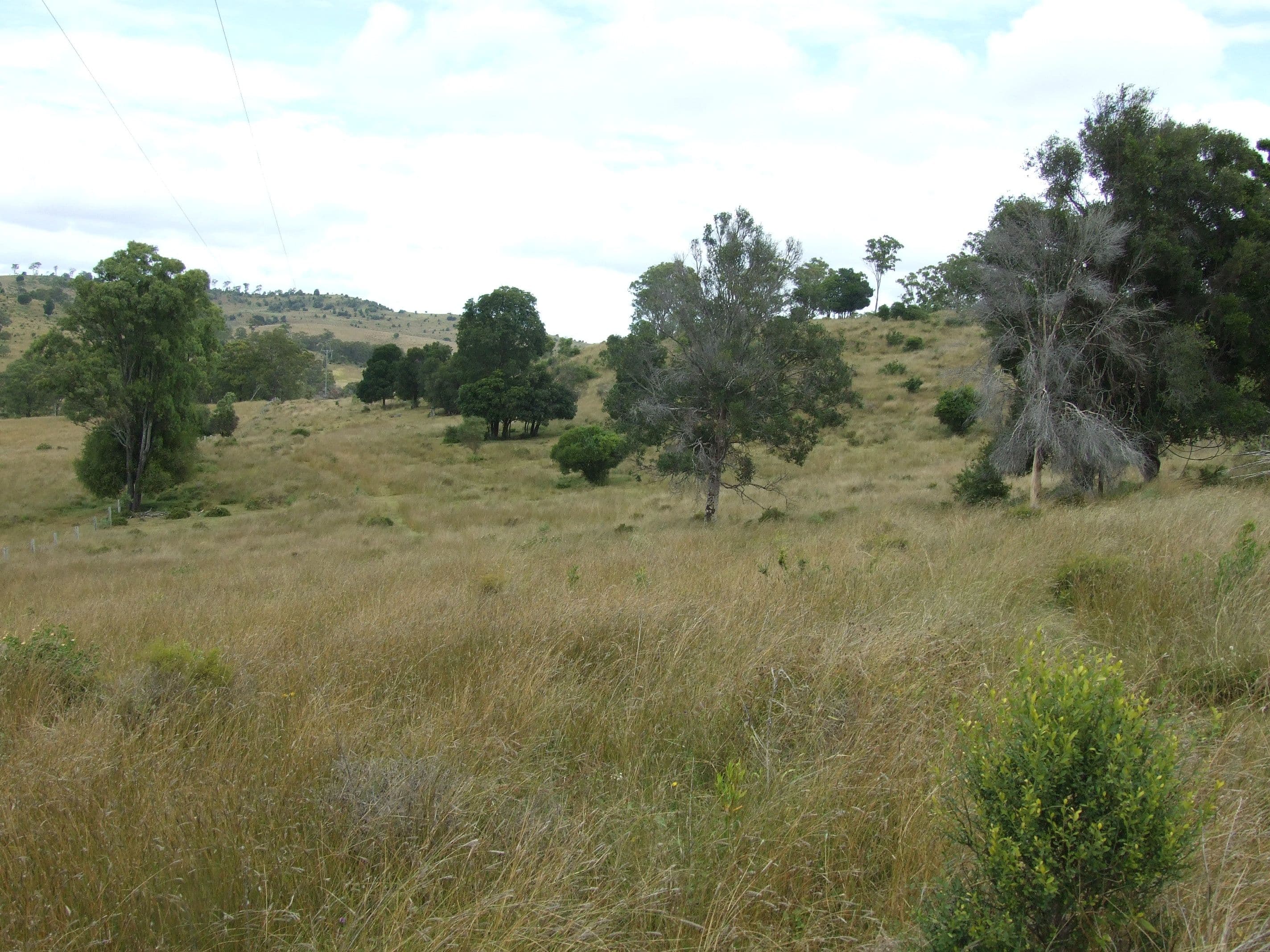 L213 Dukes Road, Cooyar QLD 4402, Cooyar - Thumbnail 5