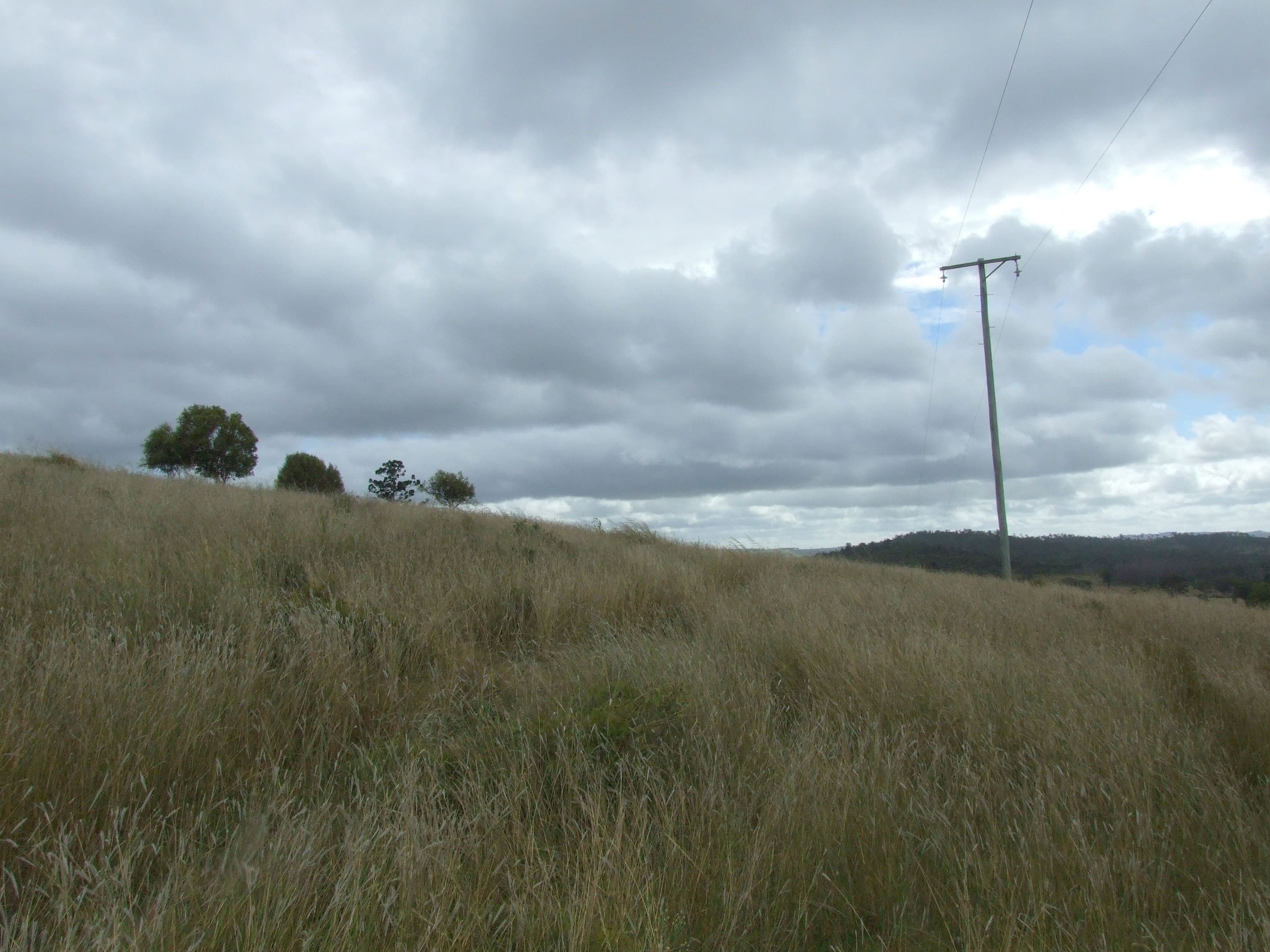 L213 Dukes Road, Cooyar QLD 4402, Cooyar - Thumbnail 3