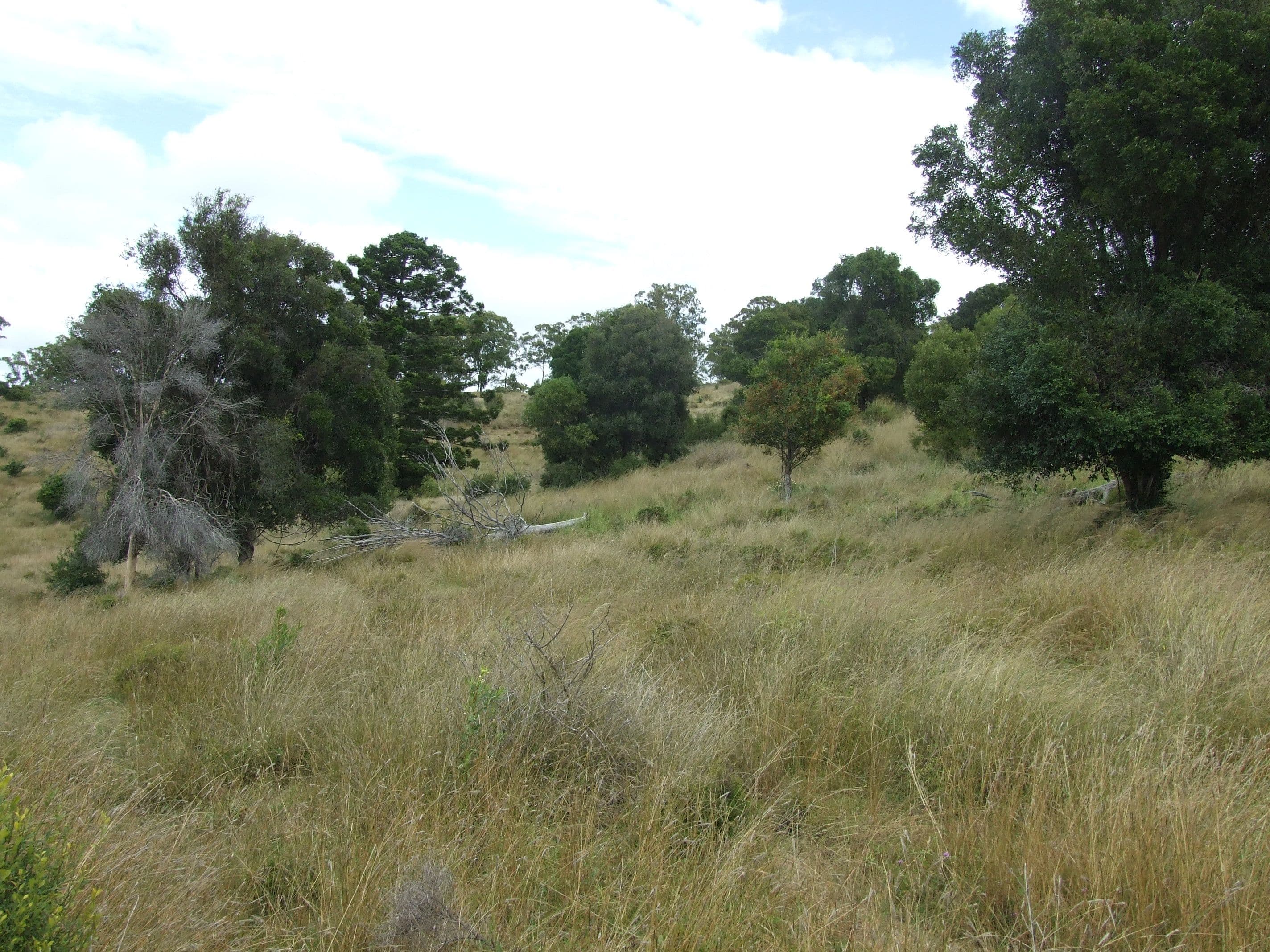 L213 Dukes Road, Cooyar QLD 4402, Cooyar - Thumbnail 6