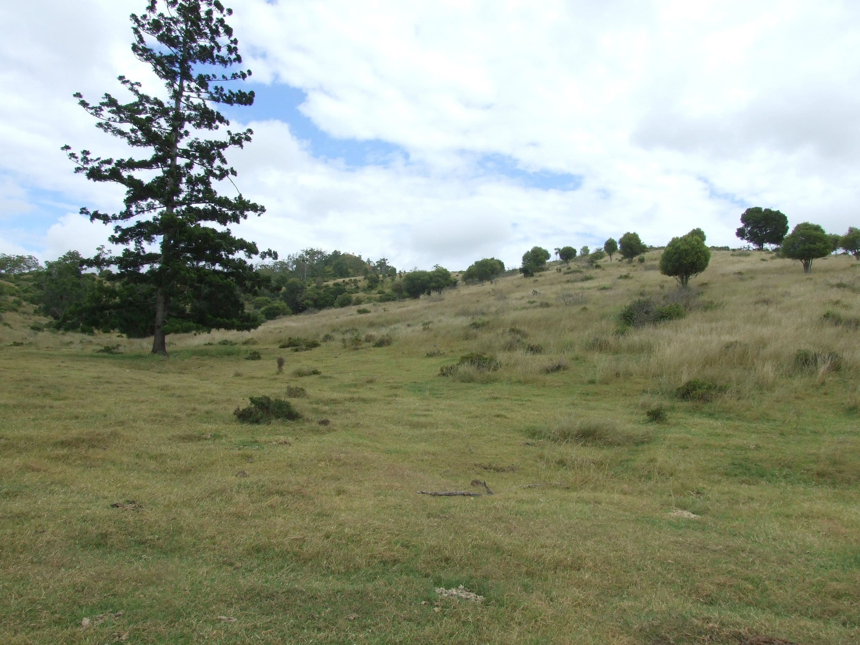 L213 Dukes Road, Cooyar QLD 4402, Cooyar - Thumbnail 4