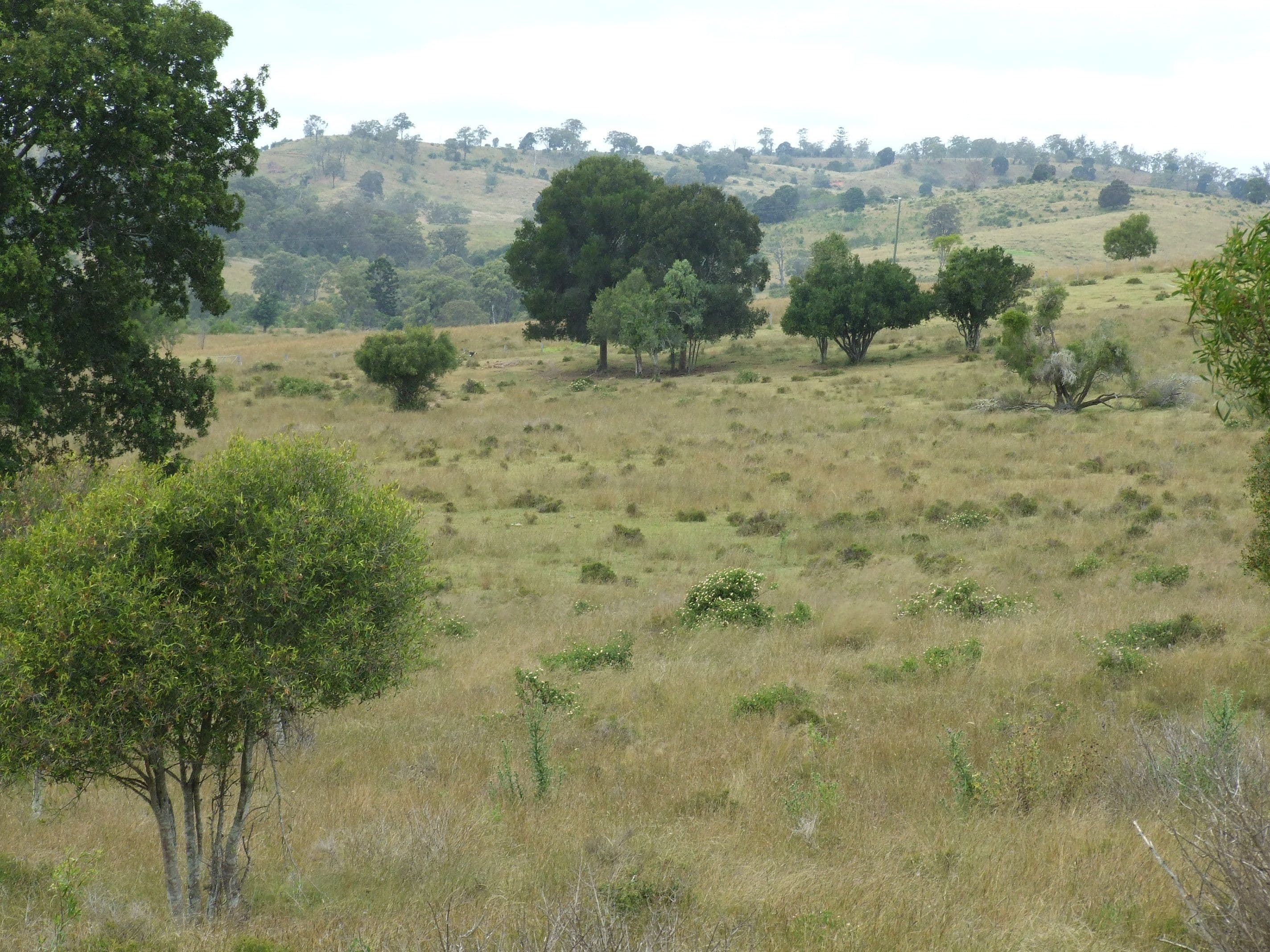 L212 Dukes Road, Cooyar QLD 4402, Cooyar - Image 1