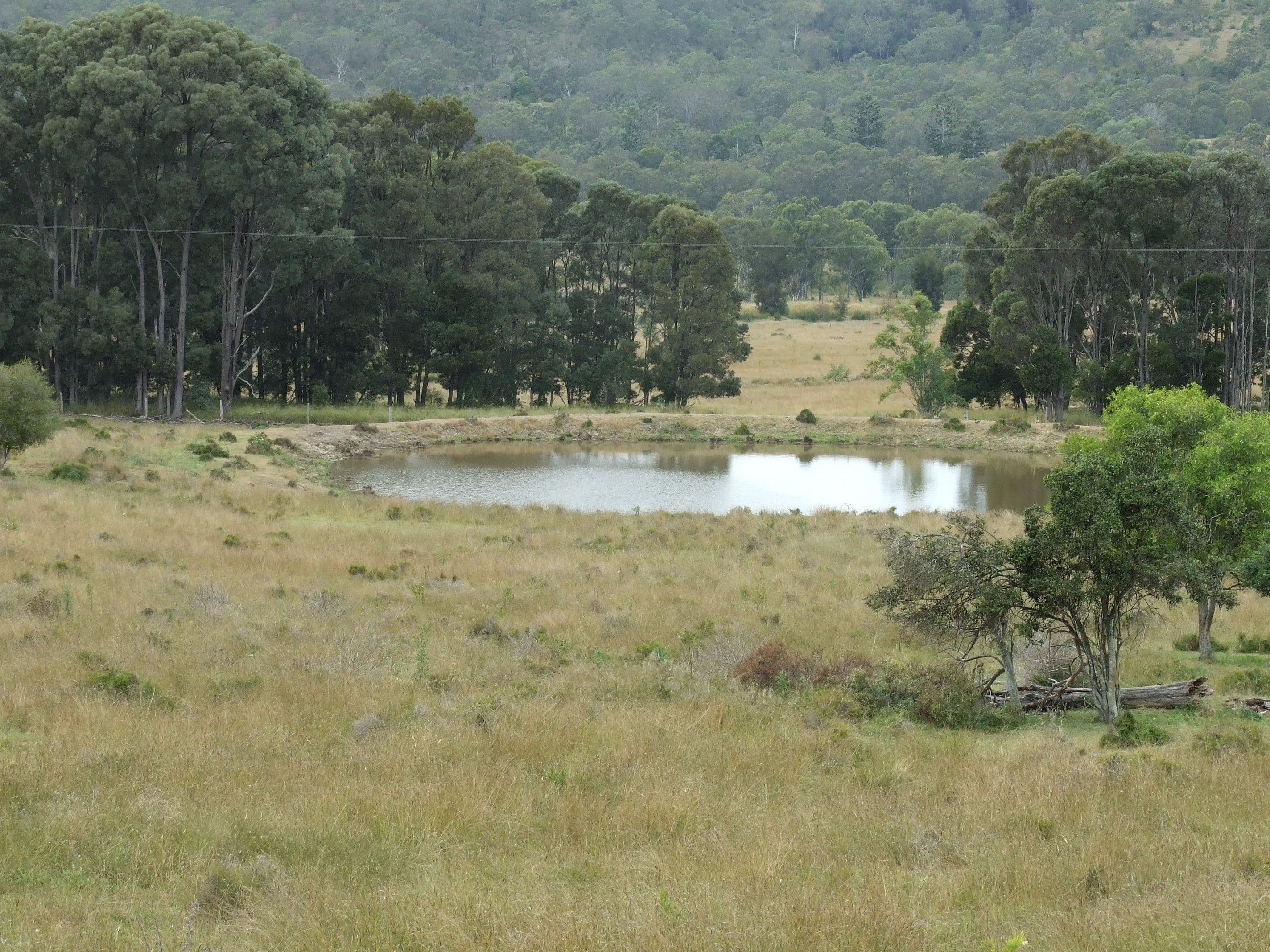 L212 Dukes Road, Cooyar QLD 4402, Cooyar - Thumbnail 2