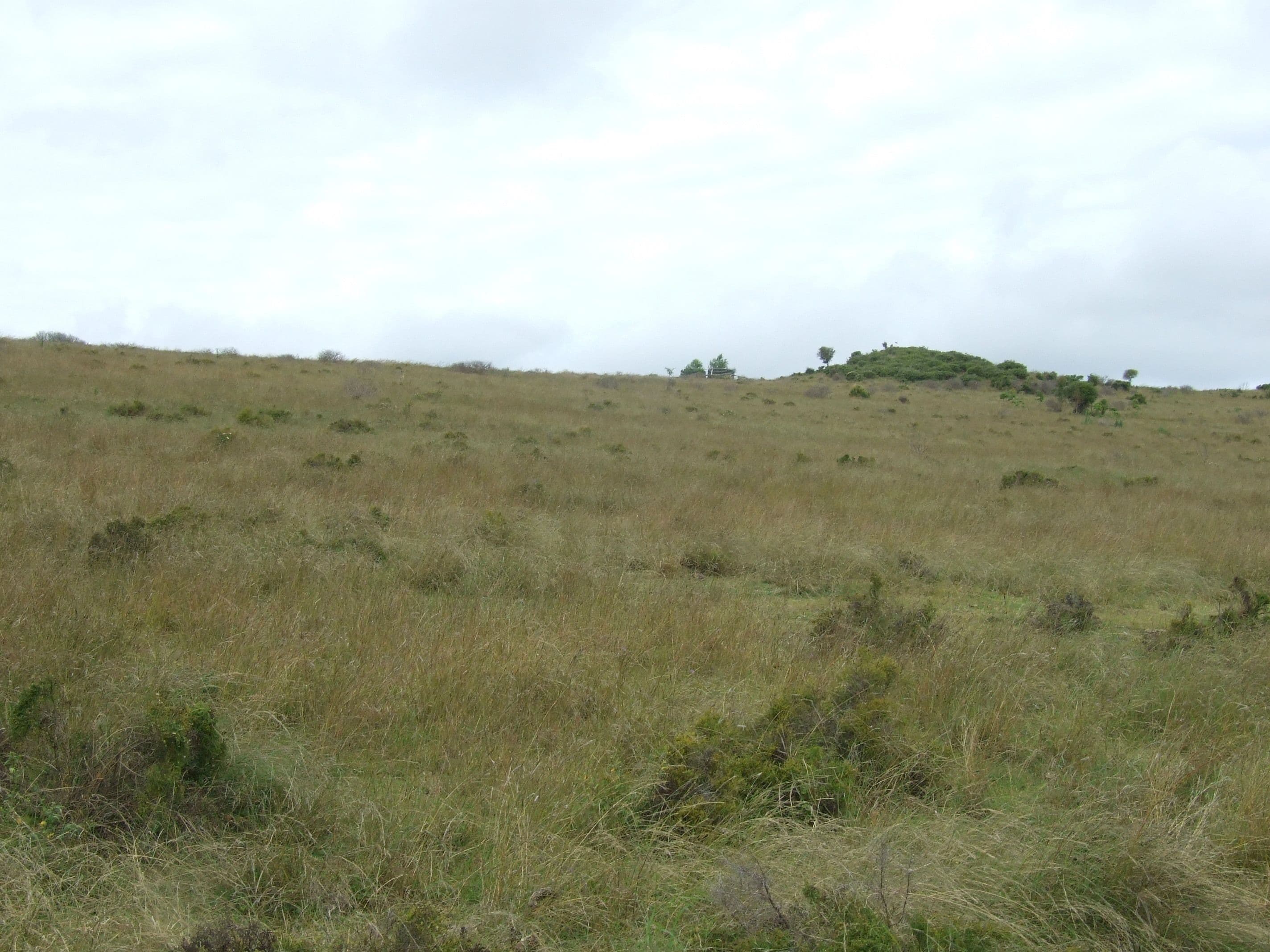 L212 Dukes Road, Cooyar QLD 4402, Cooyar - Thumbnail 4