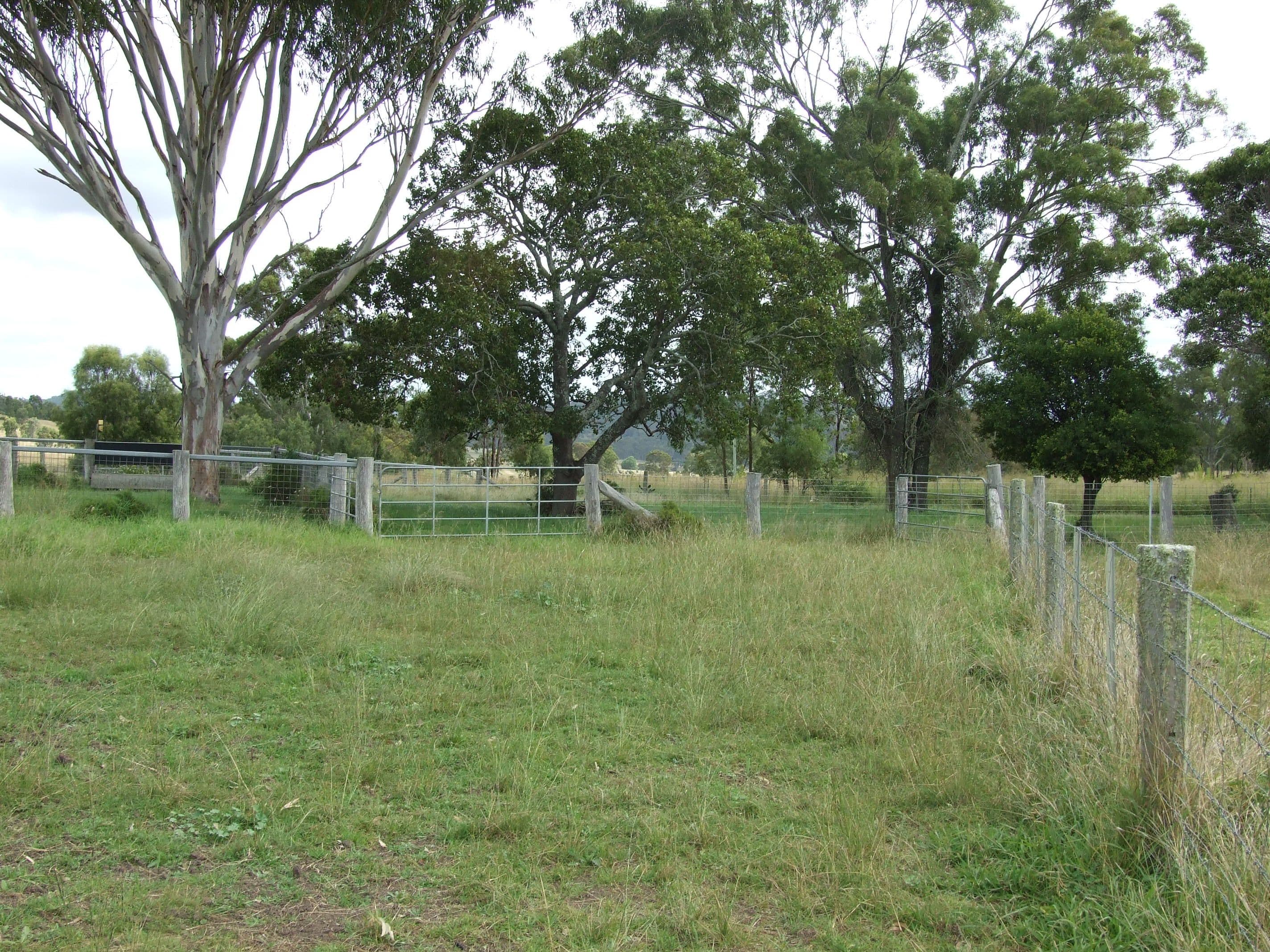 L215 Dukes Road, Cooyar QLD 4402, Cooyar - Thumbnail 4