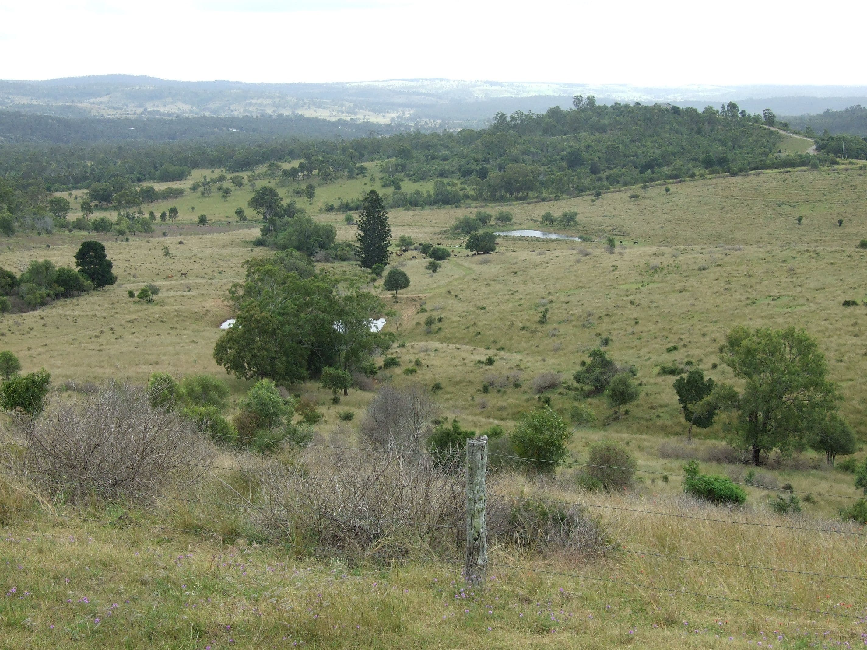 L215 Dukes Road, Cooyar QLD 4402, Cooyar - Thumbnail 7