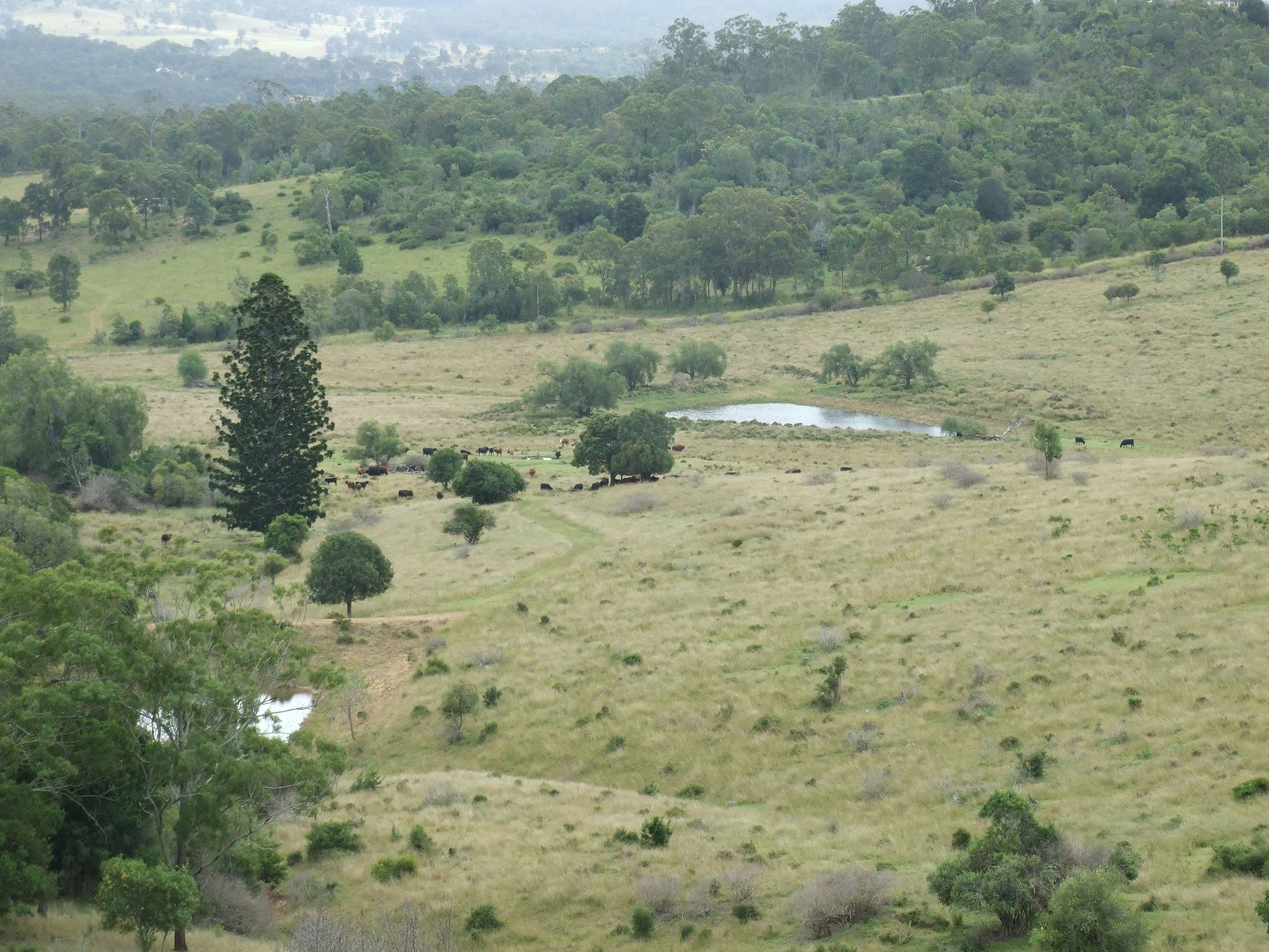 L215 Dukes Road, Cooyar QLD 4402, Cooyar - Image 1