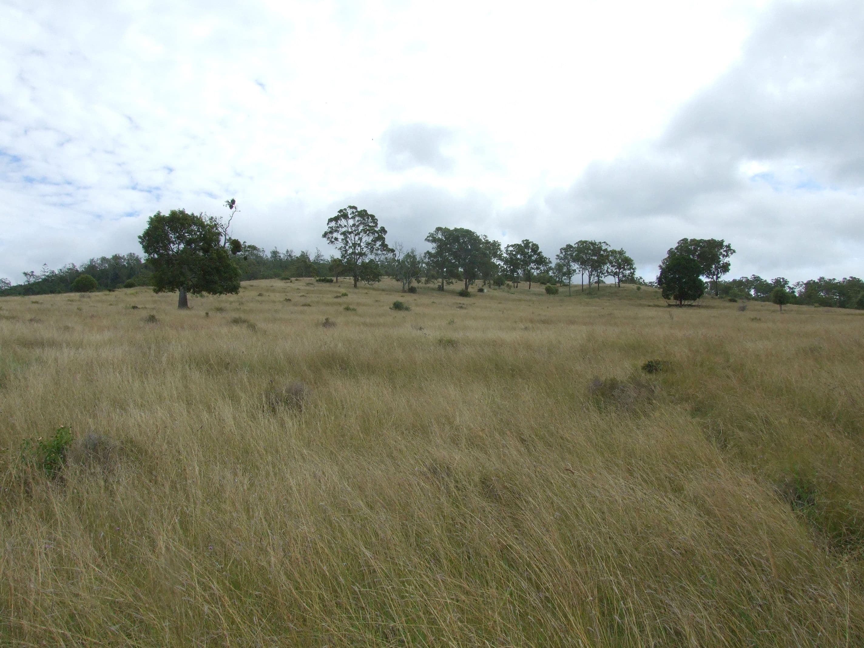 L214 Graham Road, Cooyar QLD 4402, Cooyar - Thumbnail 7
