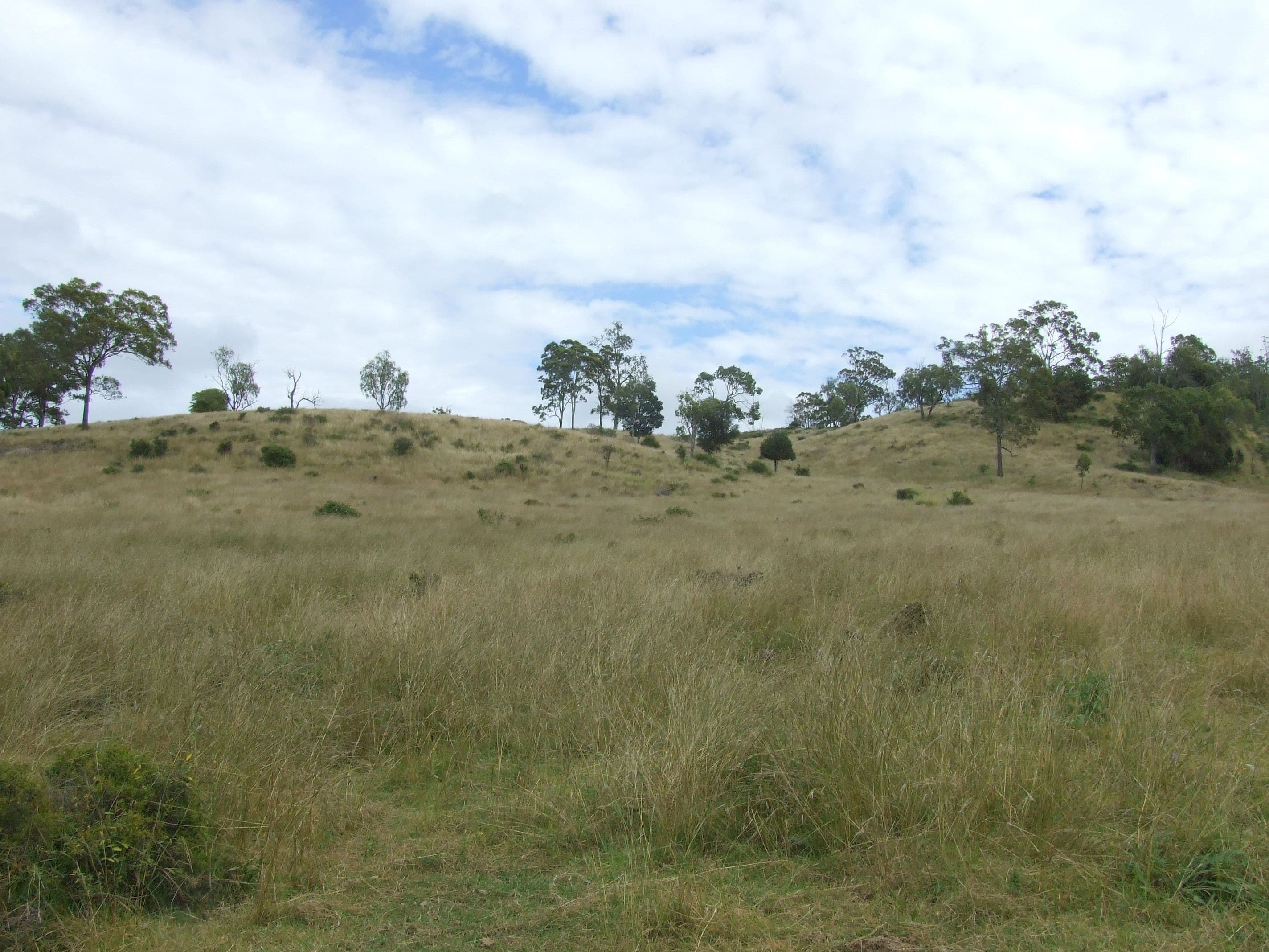 L214 Graham Road, Cooyar QLD 4402, Cooyar - Thumbnail 4