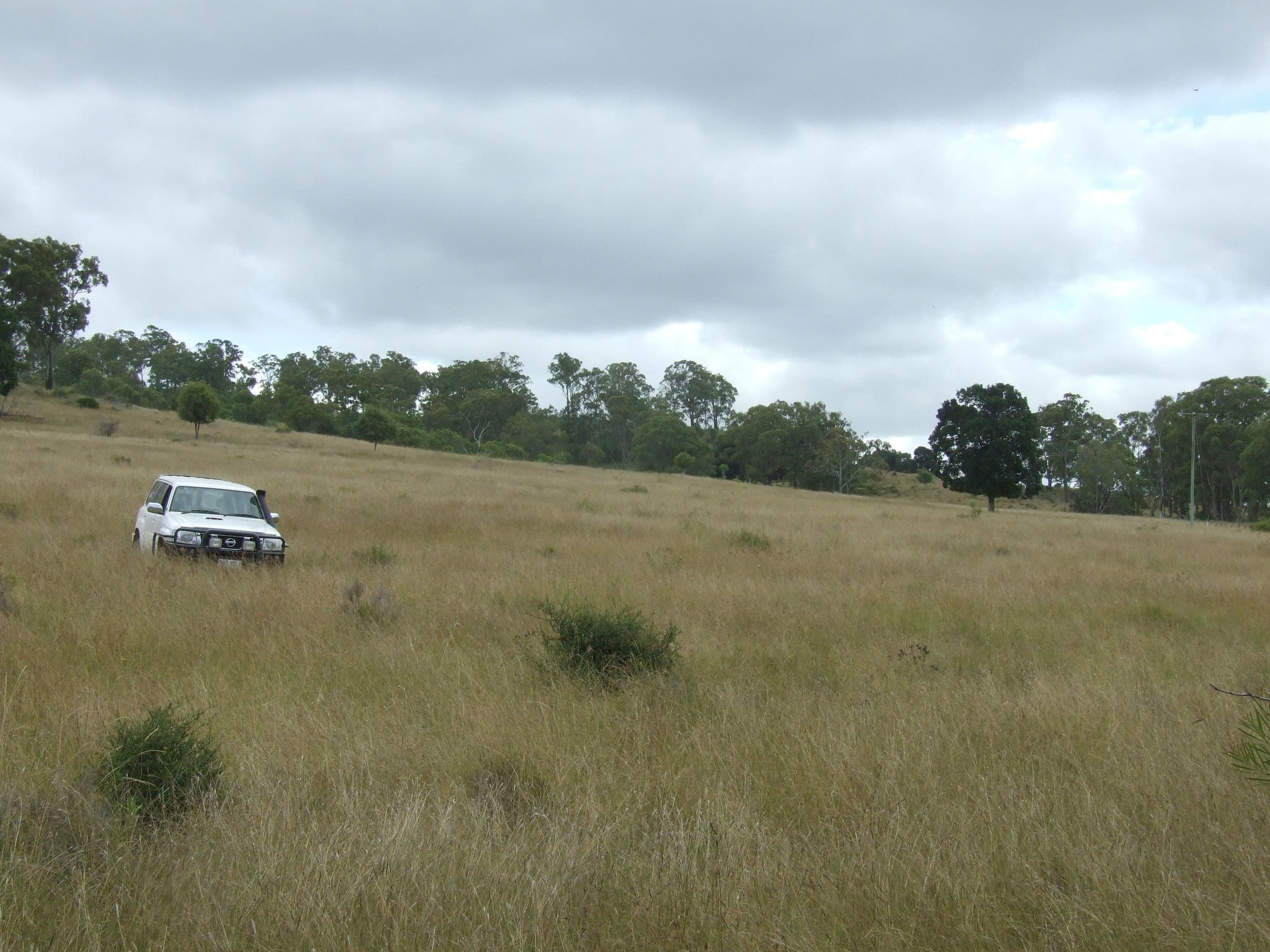 L214 Graham Road, Cooyar QLD 4402, Cooyar - Thumbnail 2