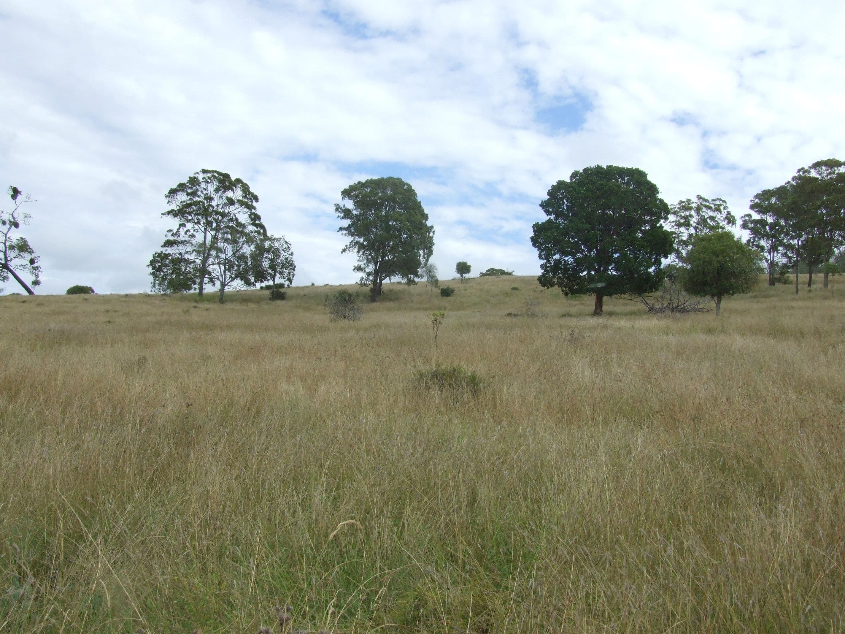 L214 Graham Road, Cooyar QLD 4402, Cooyar - Thumbnail 6