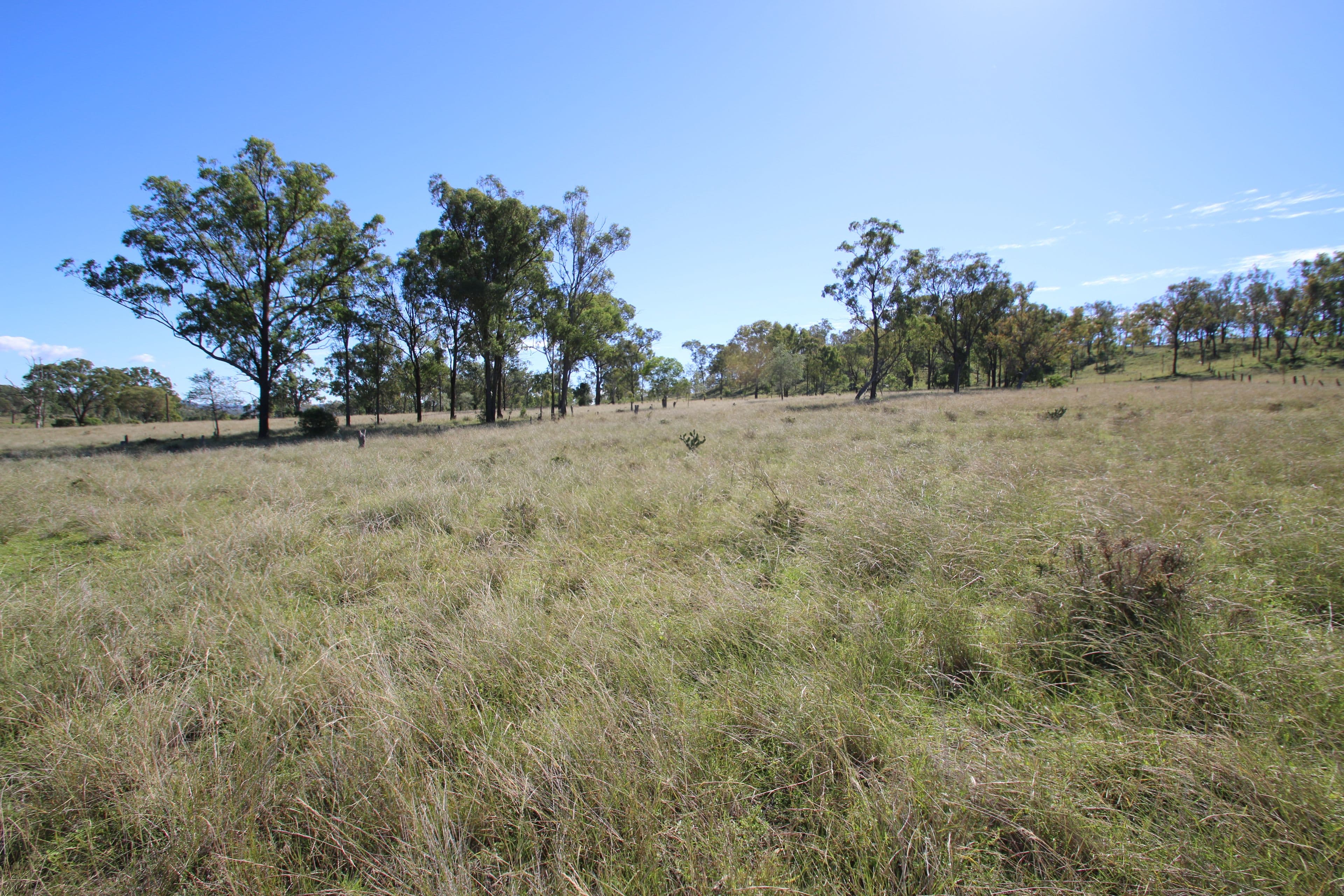 Monto QLD 4630, Monto - Image 1