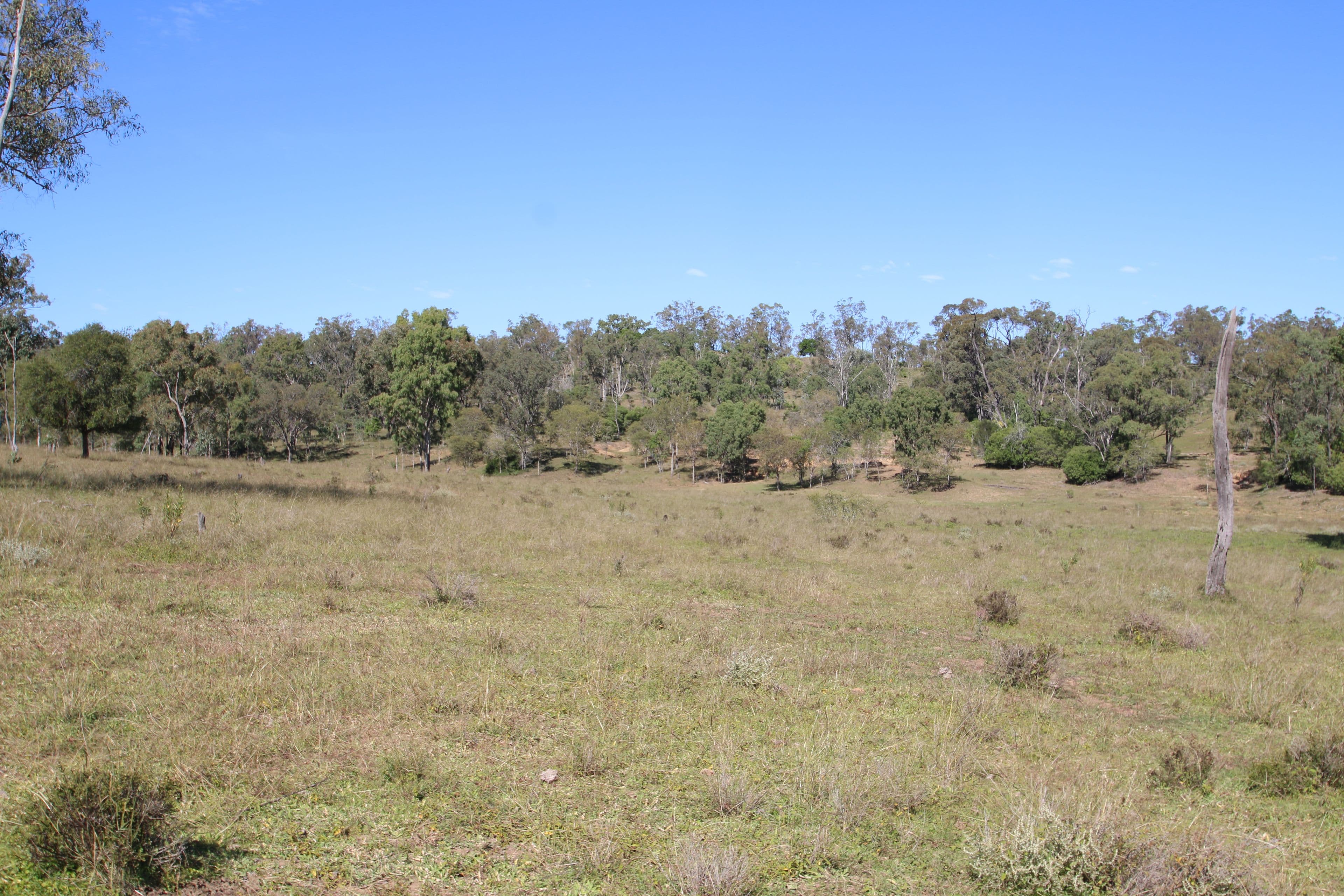 Monto QLD 4630, Monto - Thumbnail 2