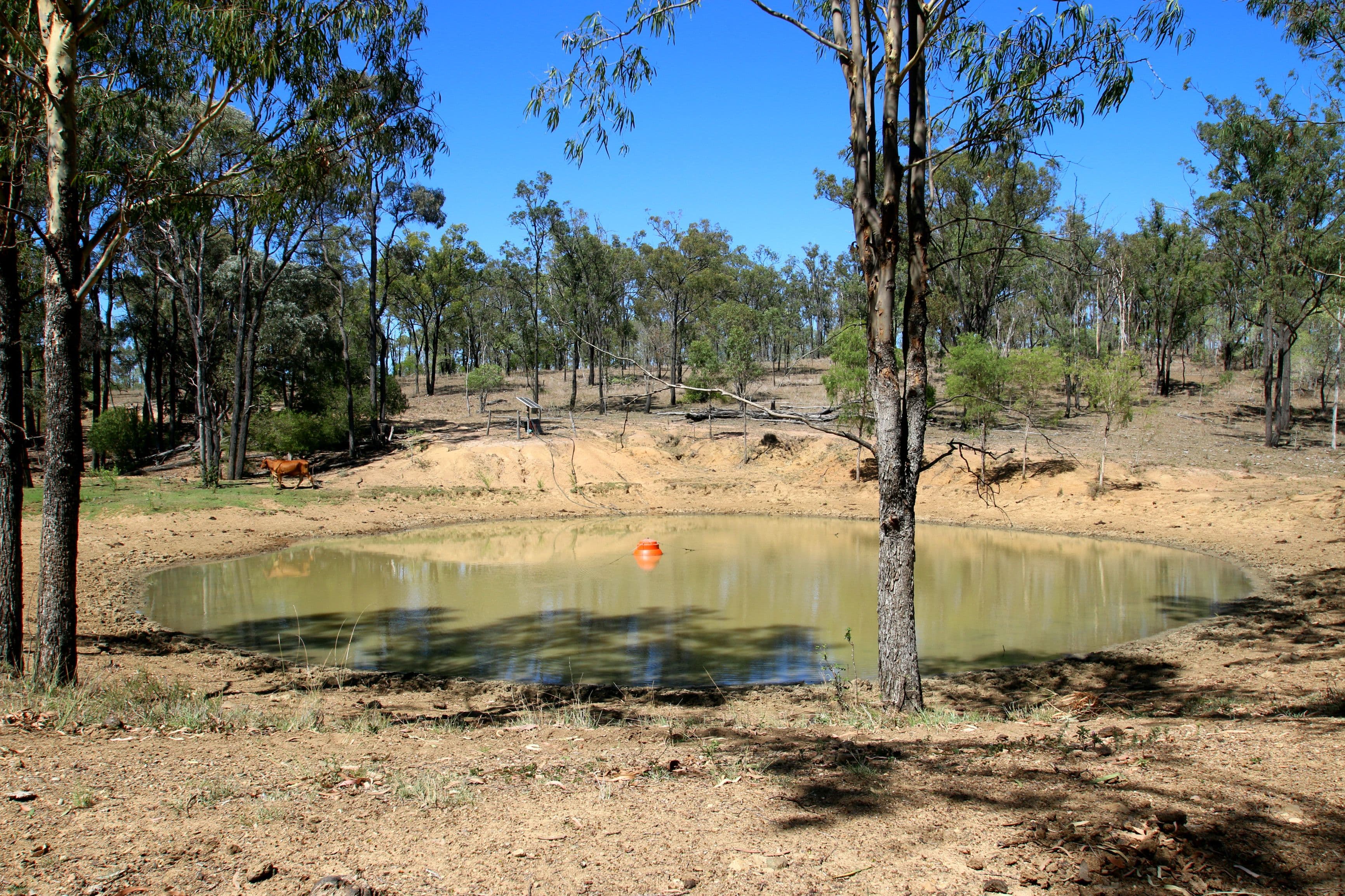 Monto QLD 4630, Monto - Thumbnail 7