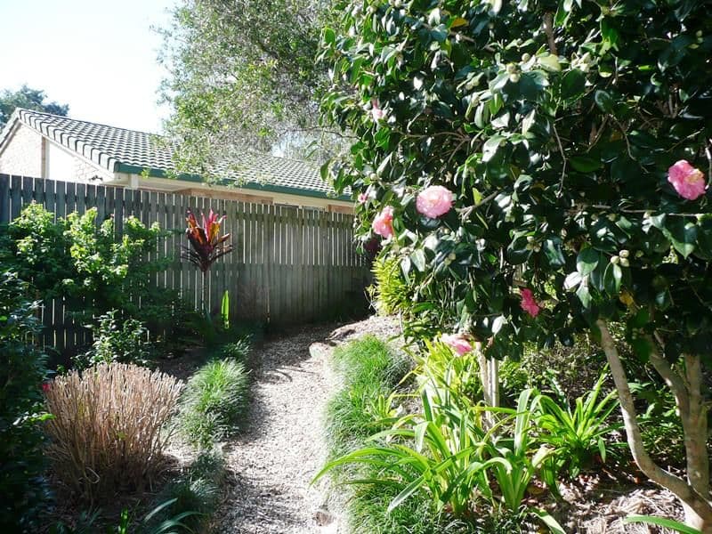 14 Penda Court, Cabarita Beach NSW 2488, Cabarita Beach - Thumbnail 8